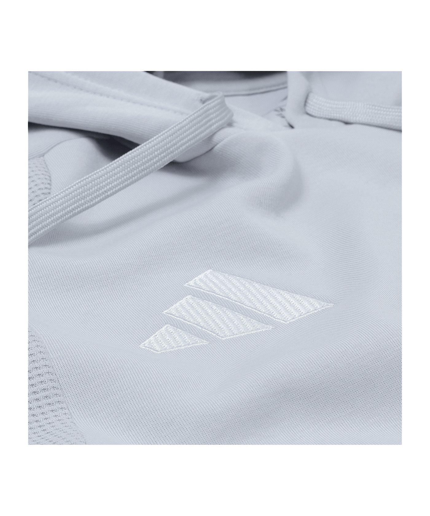 adidas Fortuna Düsseldorf Präsentation Hoody Grau - grau