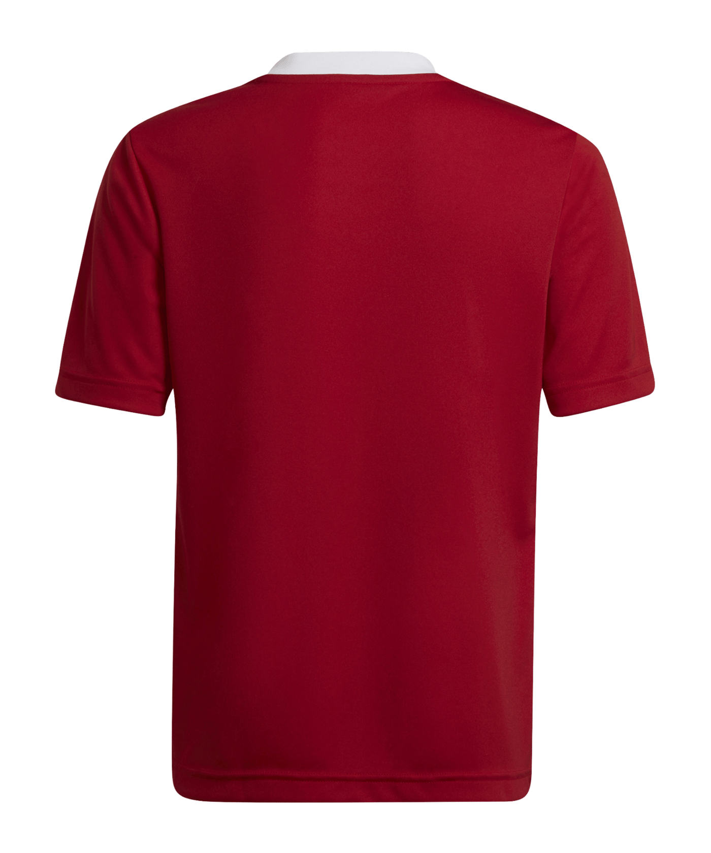 adidas Entrada 22 Trikot Rot Weiss - rot
