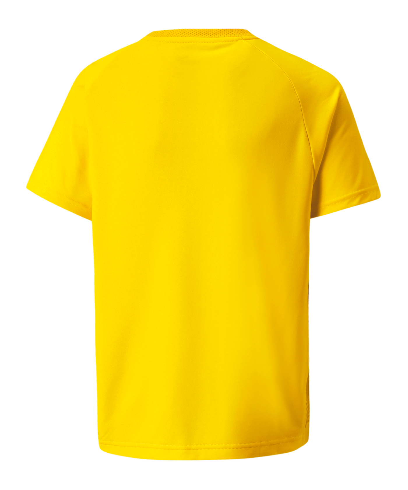 PUMA teamVISION Trikot Kids Gelb F07 - gelb