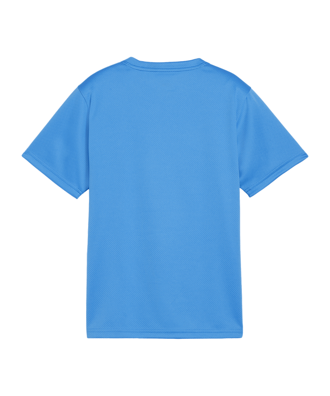PUMA teamGOAL Trikot Kids Blau F02 - hellblau