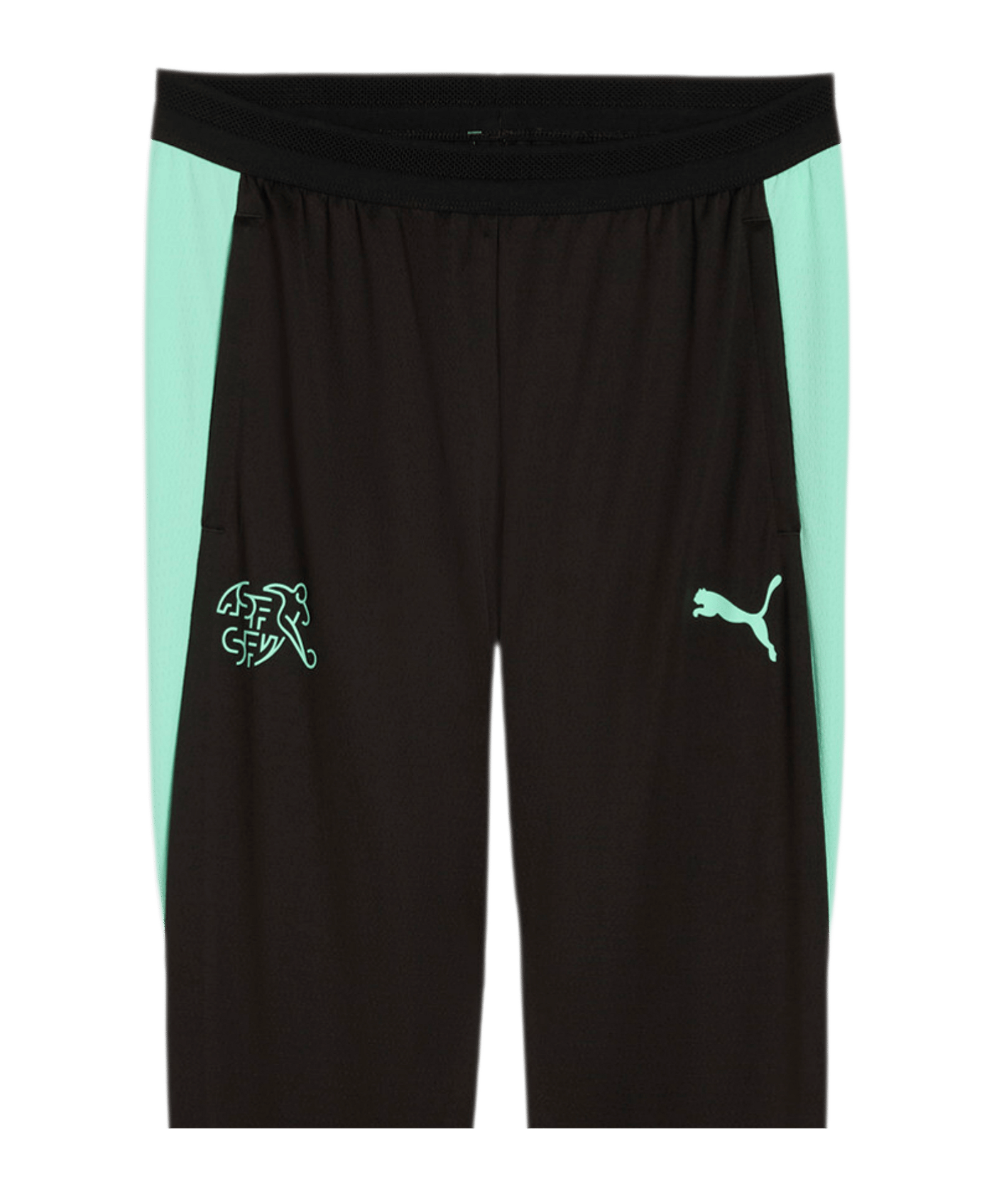 PUMA SFV Schweiz Trainingshose Schwarz F10 - schwarz