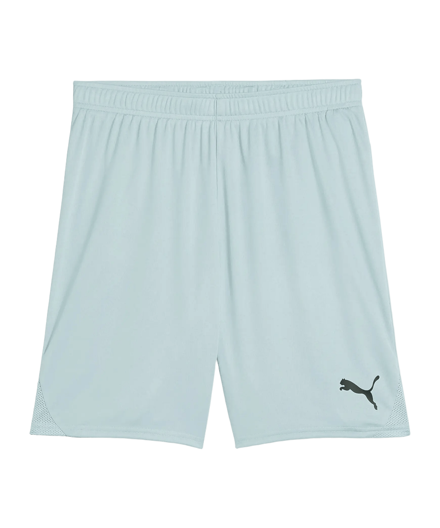 PUMA TeamGOAL Short Grün F41 - gruen