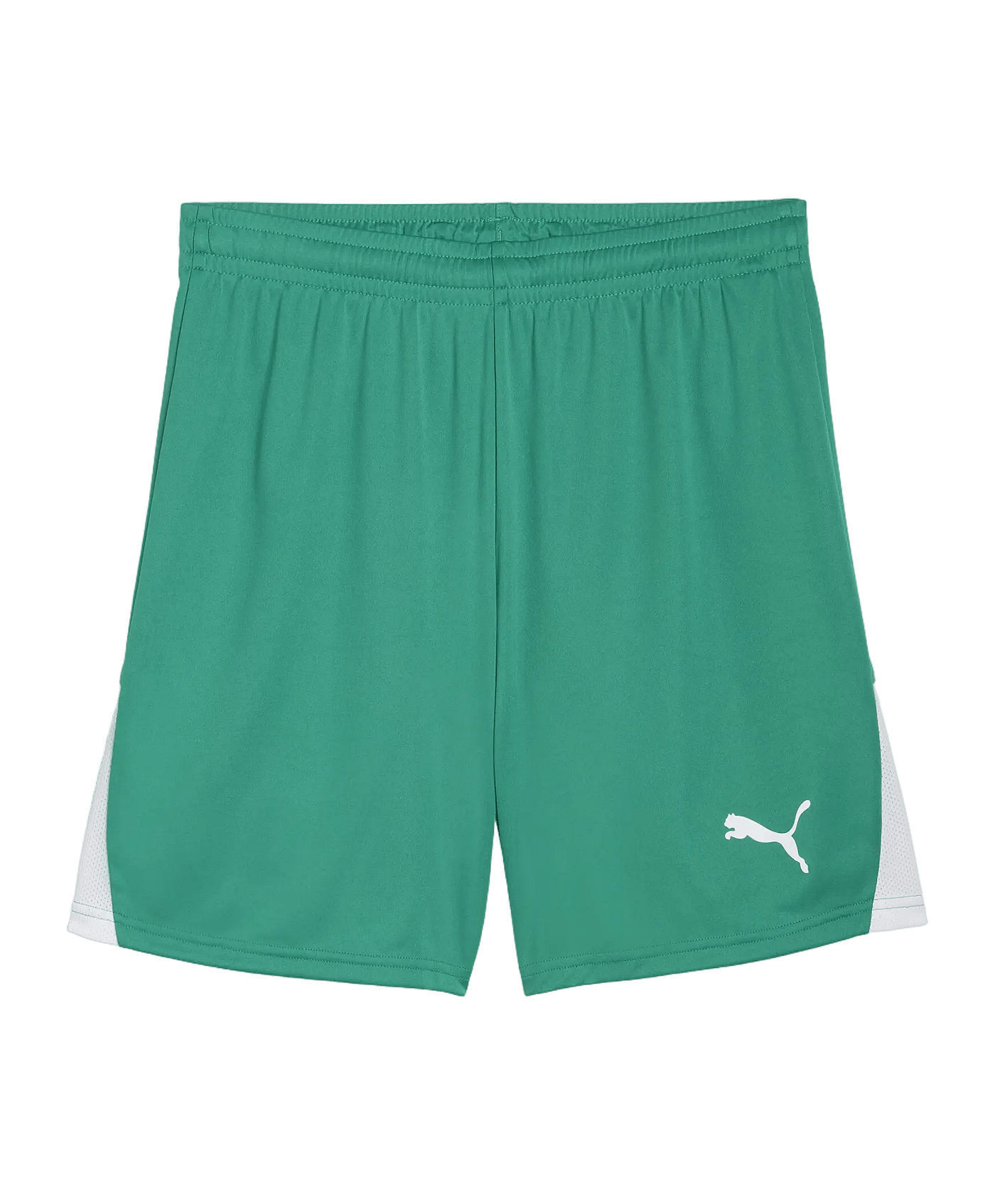 PUMA teamLIGA26 Short Grün F05 - gruen