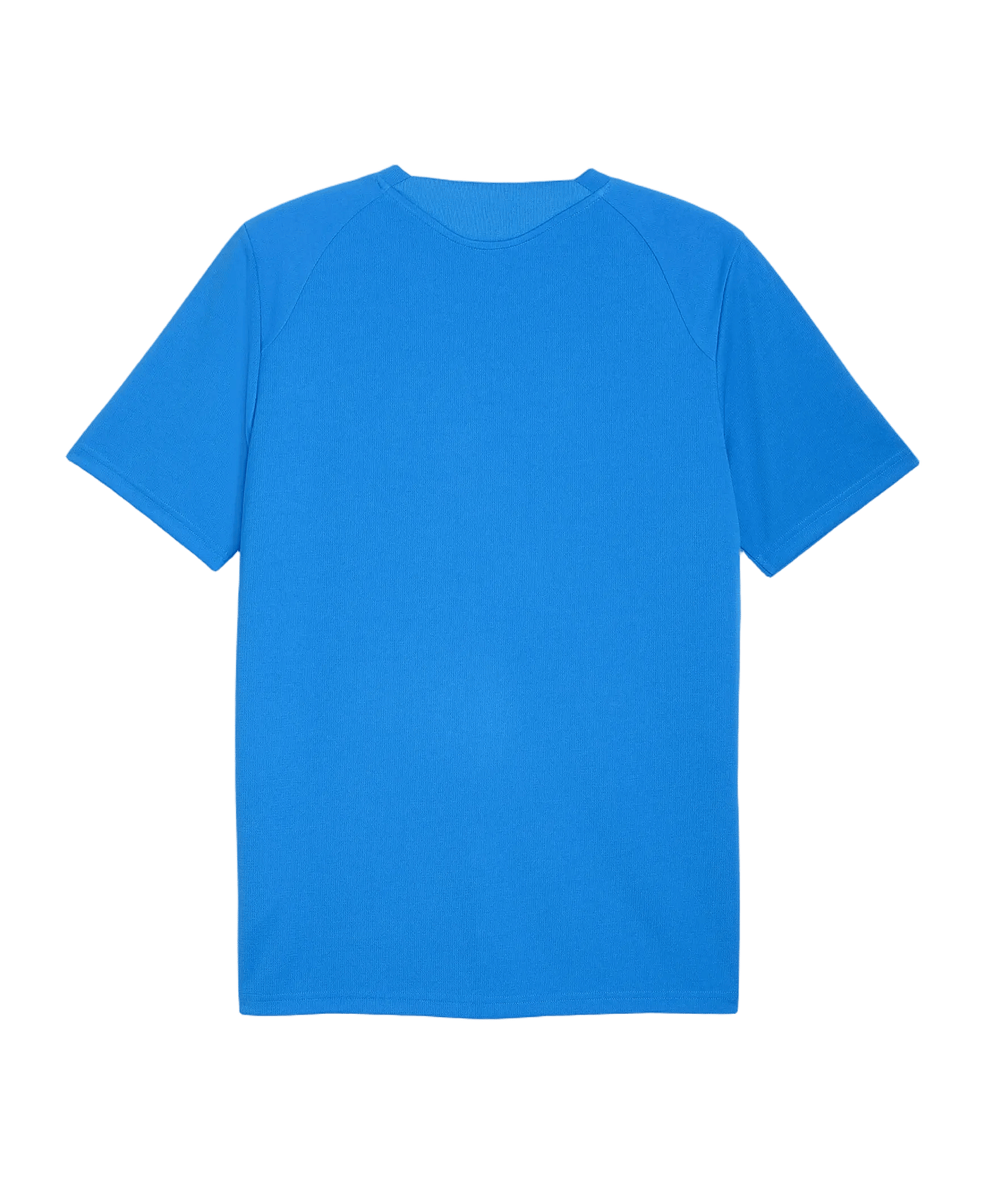PUMA teamFINAL26 Training Trikot Blau F02 - blau