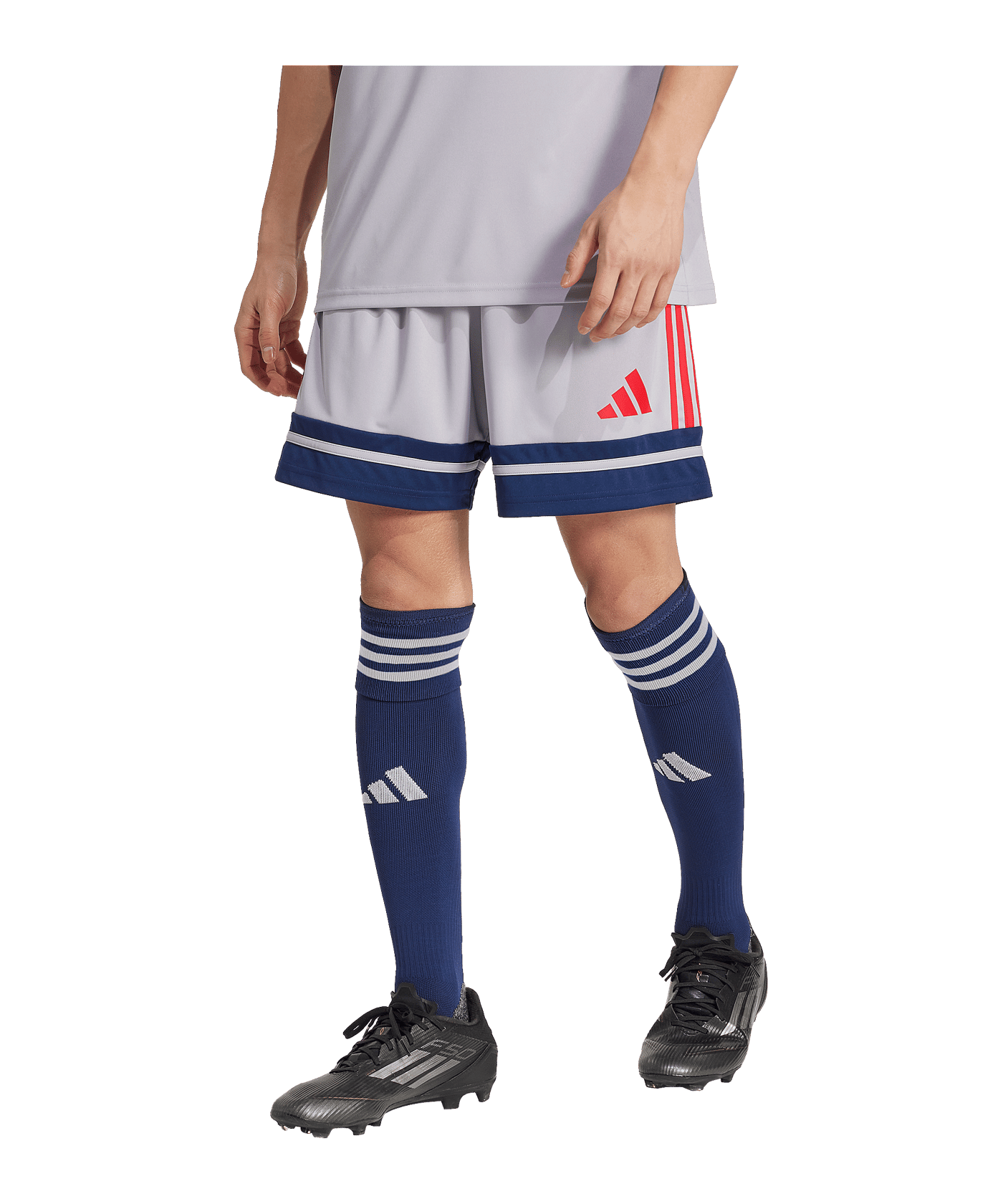 adidas Squadra 25 Short Grau - grau