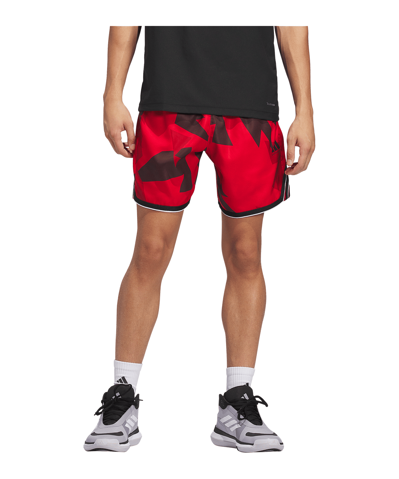 adidas Crazylite Aop 2 Short Lila - rot