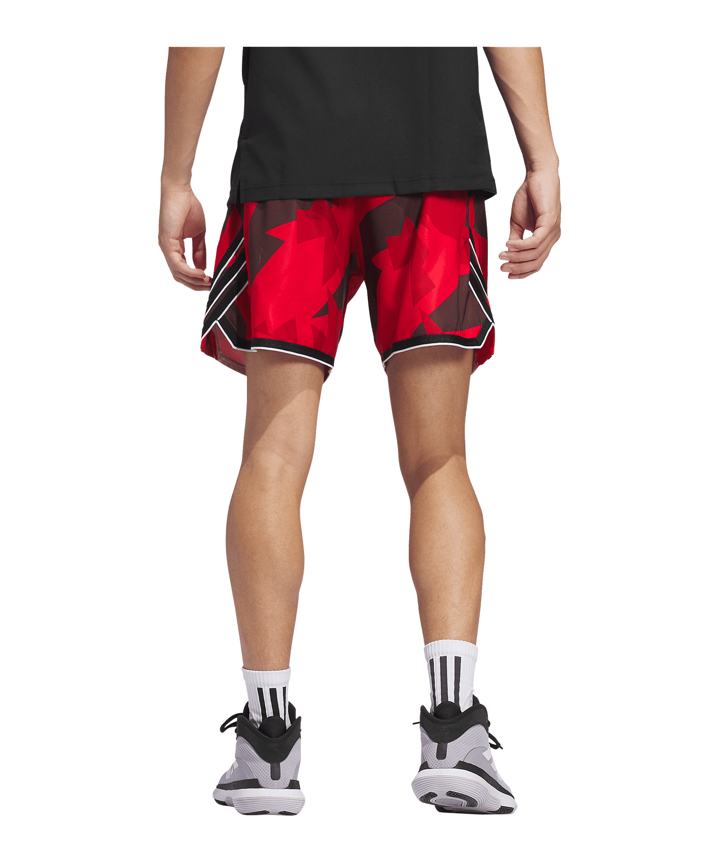 adidas Crazylite Aop 2 Short Lila - rot