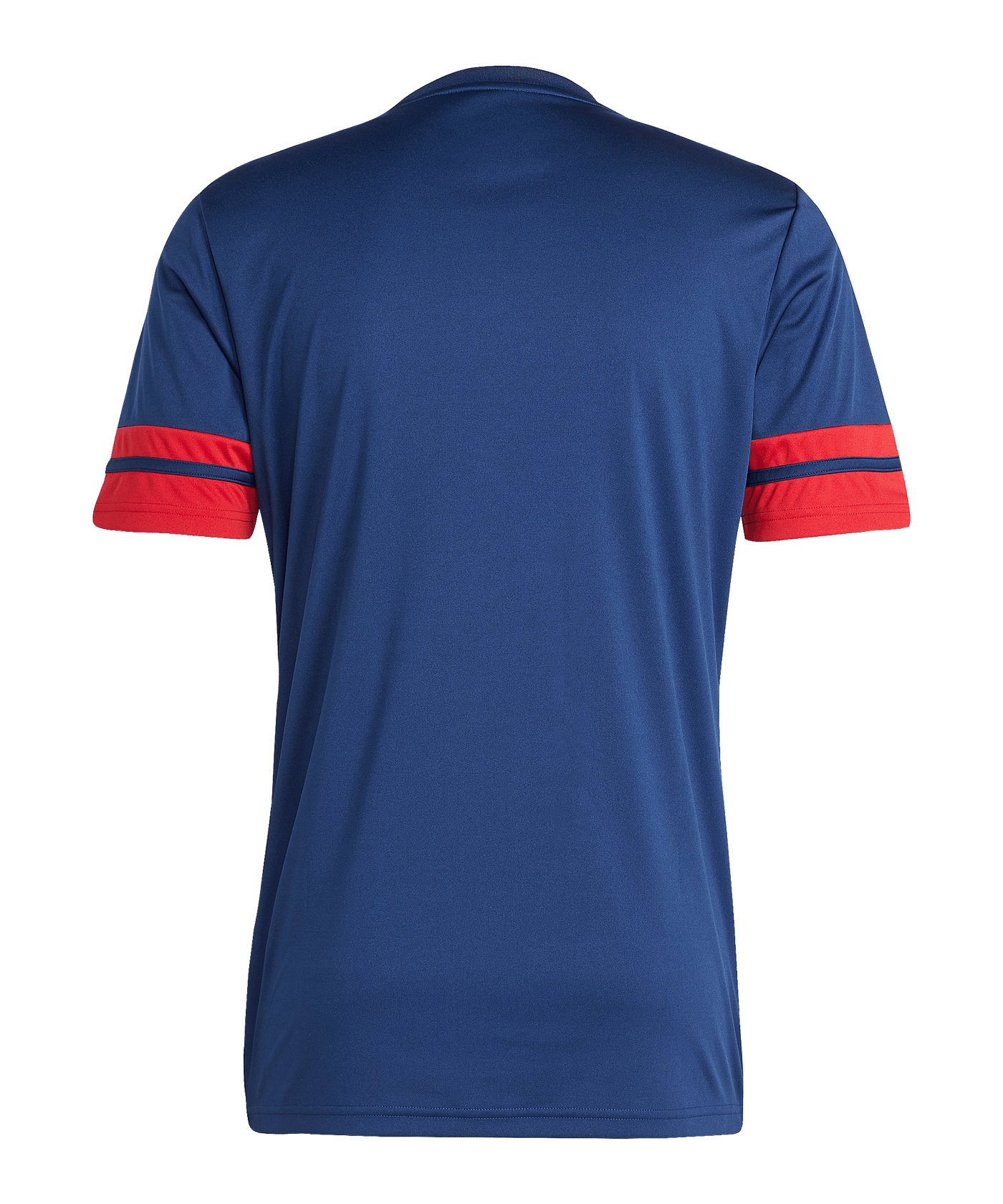 adidas Squadra 25 Trikot Blau - blau