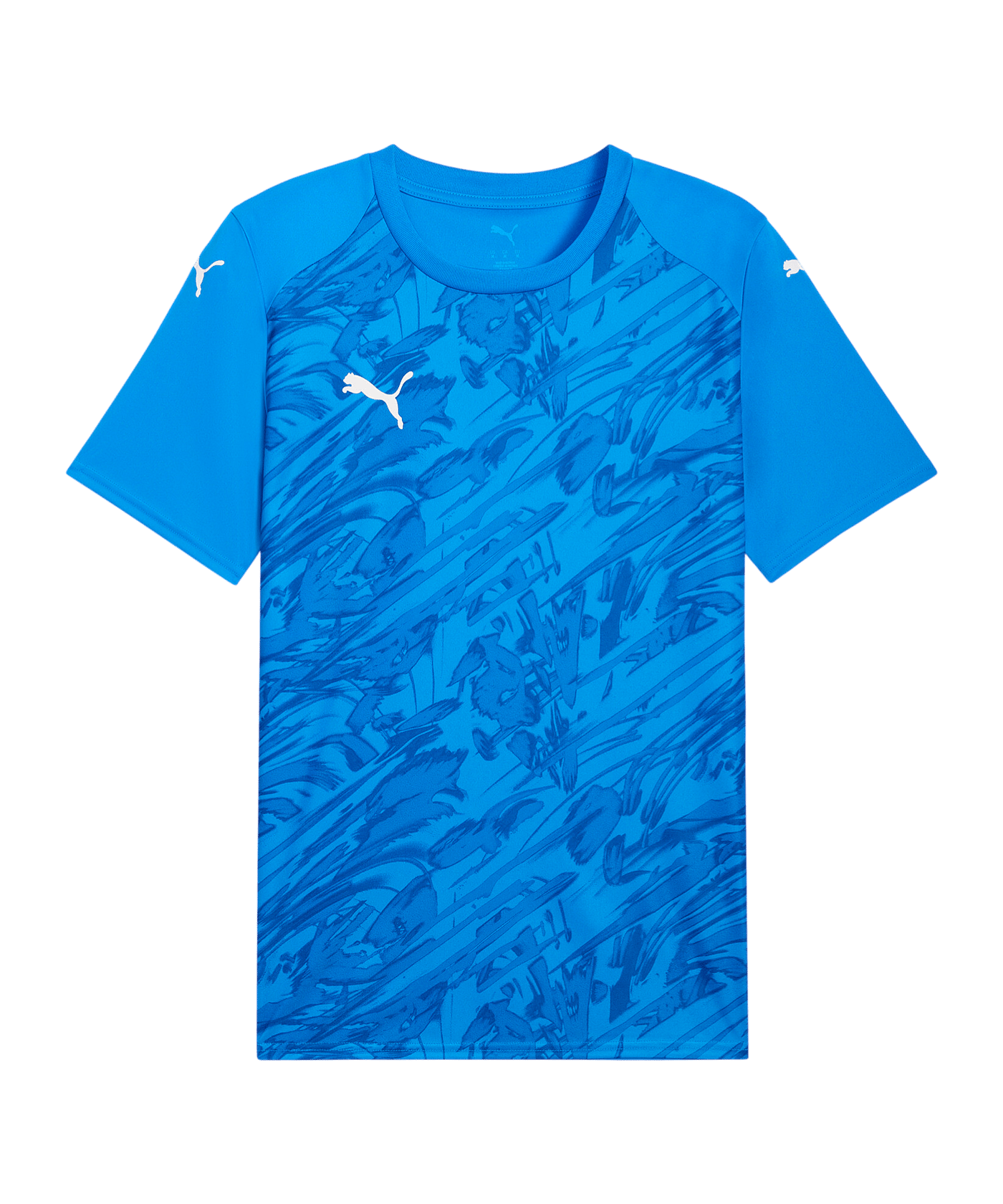 PUMA teamFINAL Graphic Trikot Blau F02 - blau