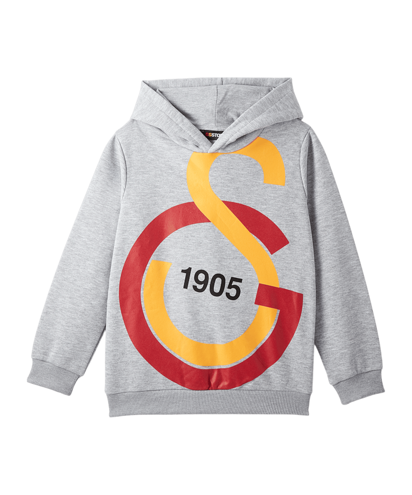 Galatasaray Istanbul Big Logo Sweatshirt Kids Grau - grau