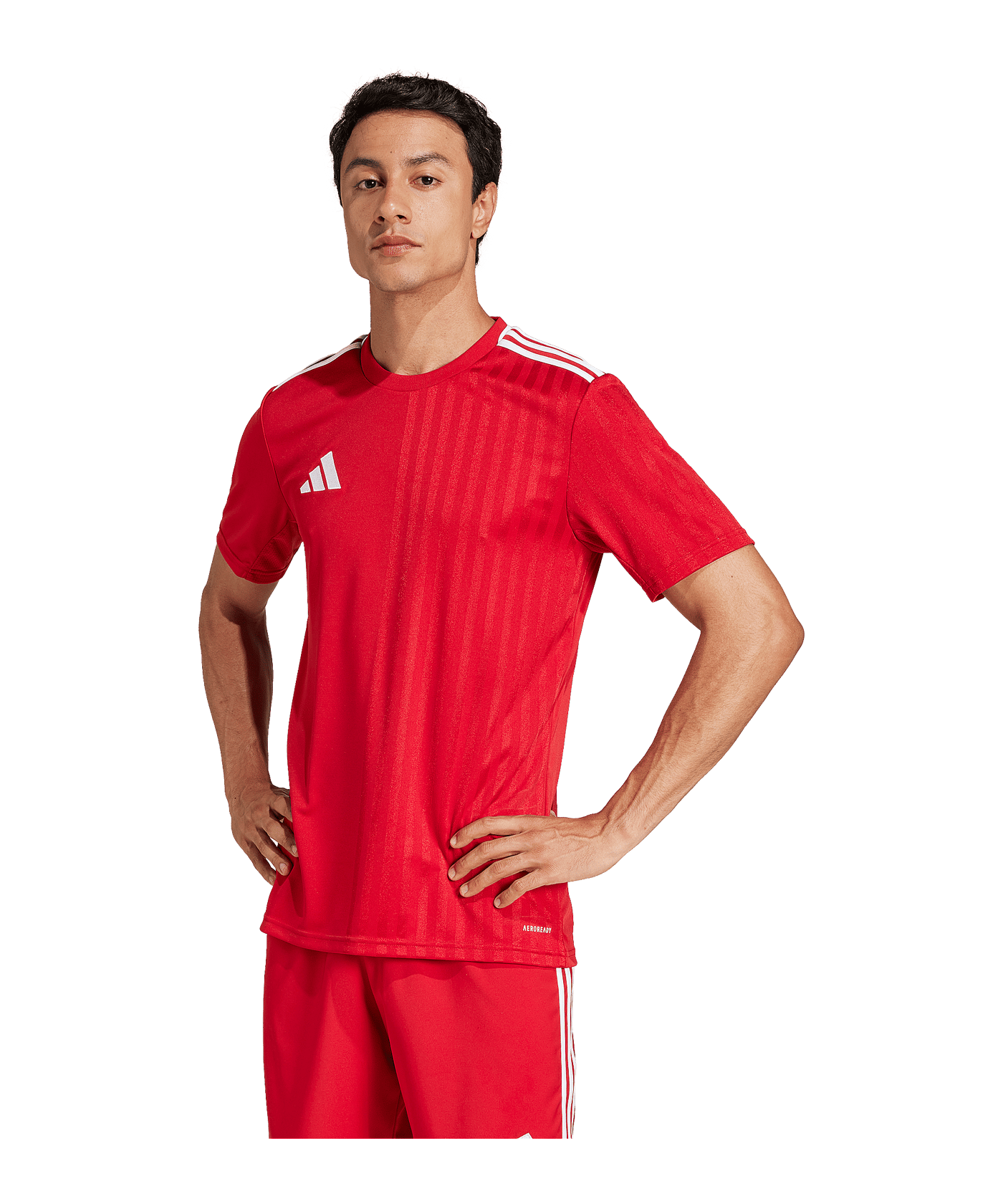 adidas Campeon 25 Trikot Rot - rot
