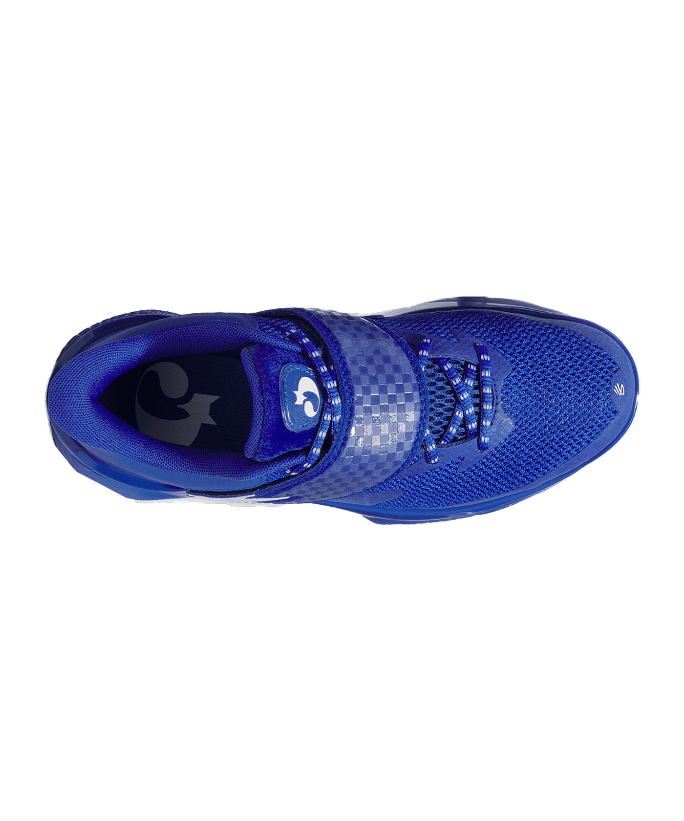 CURRY BRAND Fox 1 Lexington Blau - blau