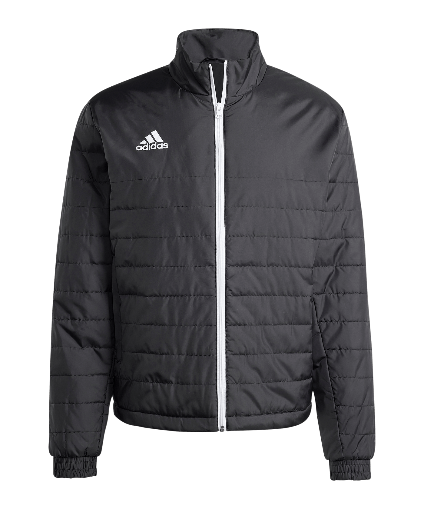 adidas Winterjacke Schwarz - schwarz