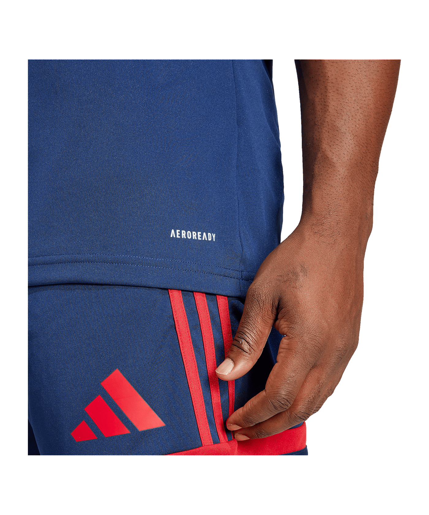 adidas Squadra 25 Trikot Blau - blau