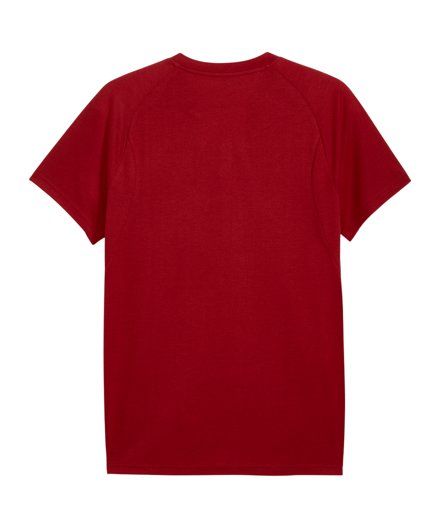 PUMA Galatasaray Istanbul Evostripe T-Shirt Rot F01 - rot