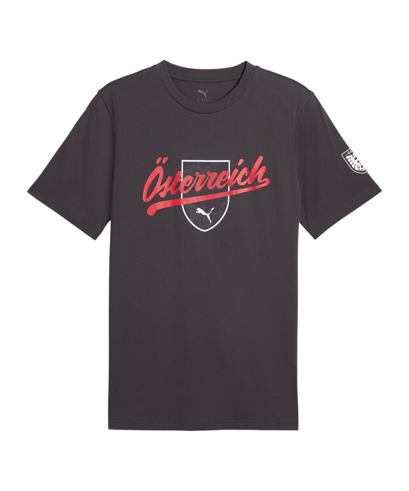 PUMA ÖFB Österreich FtblCulture T-Shirt Grau F25 - grau