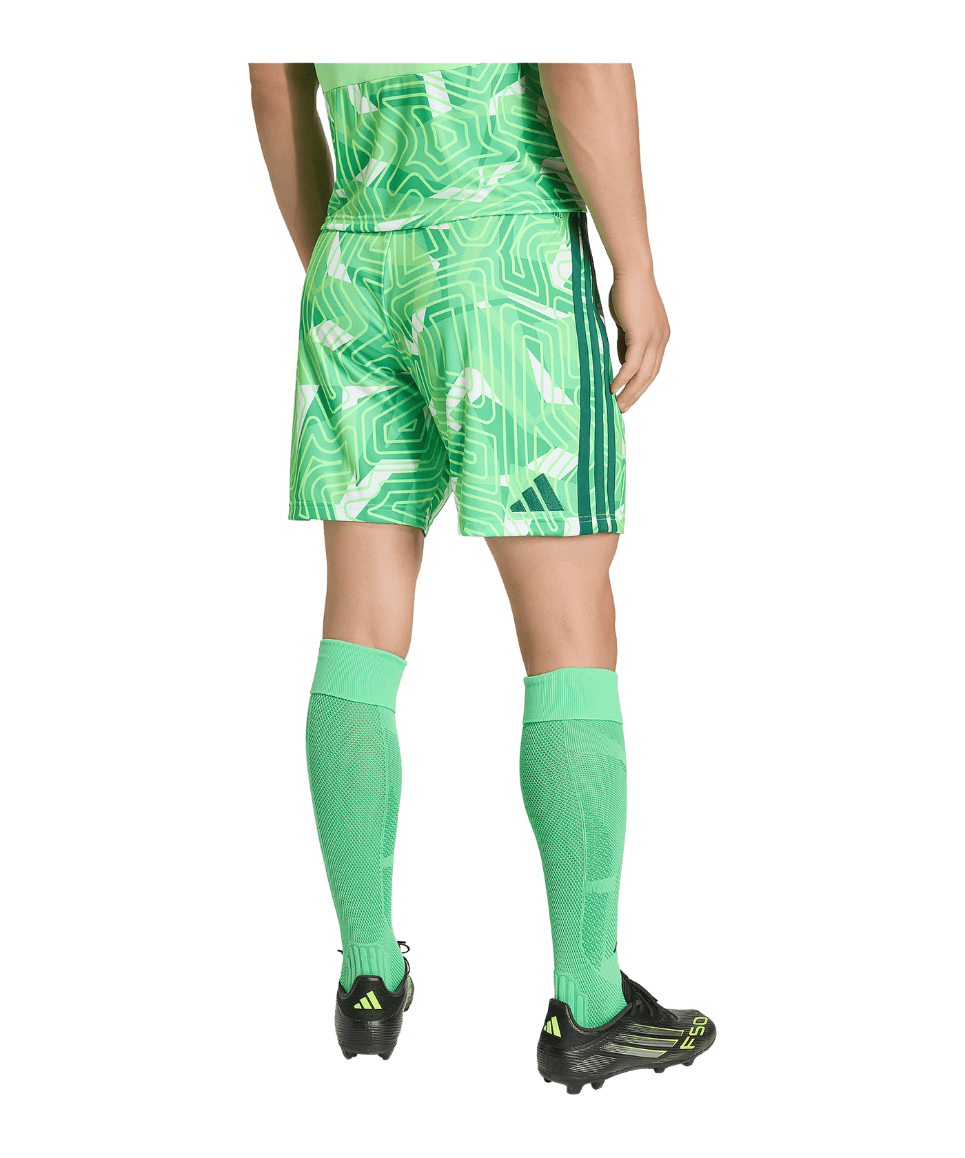 adidas Tiro 26 Torwartshort Grün - gruen