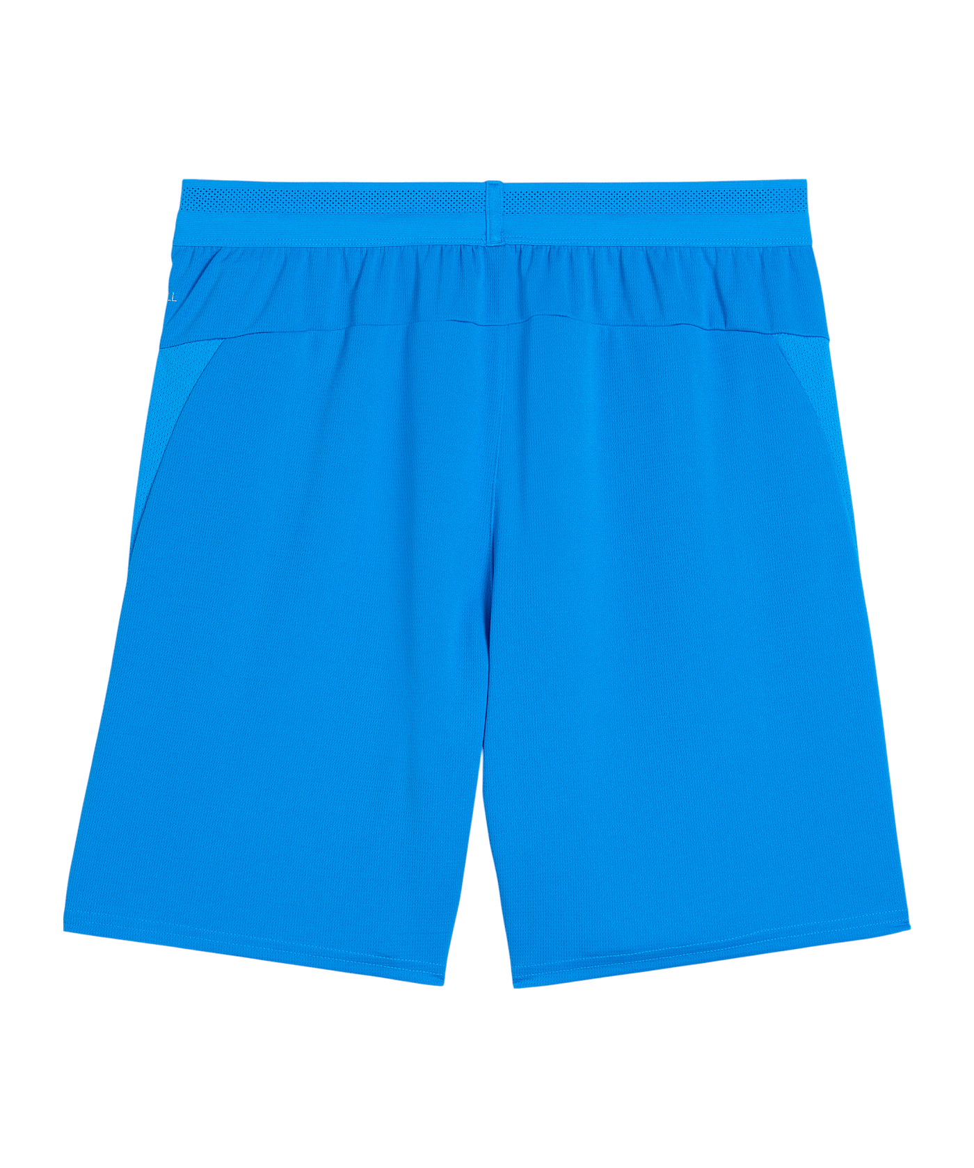 PUMA teamCup Short Blau F02 - blau