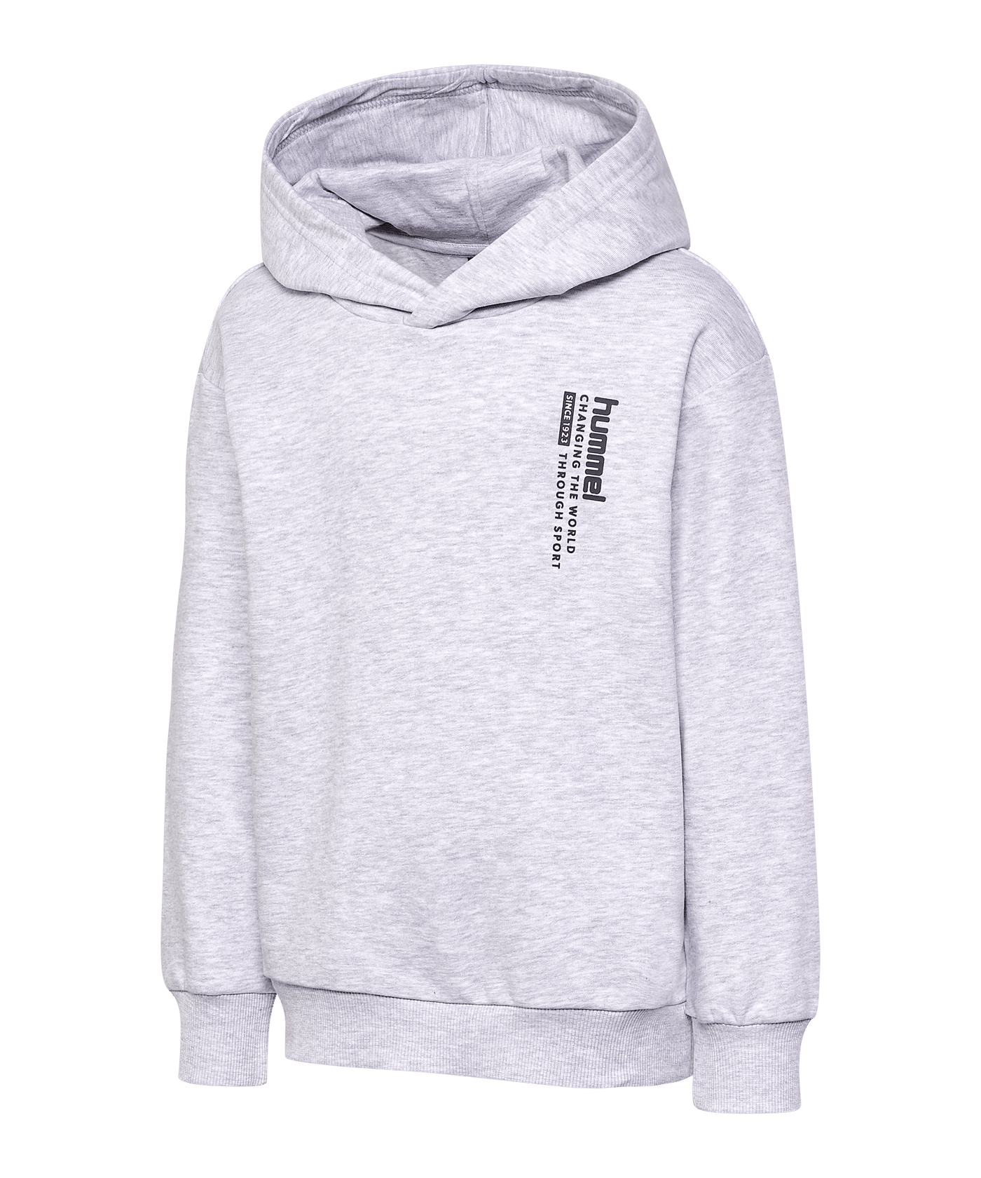 Hummel Dante Hoody Kids Grau F1168 - grau