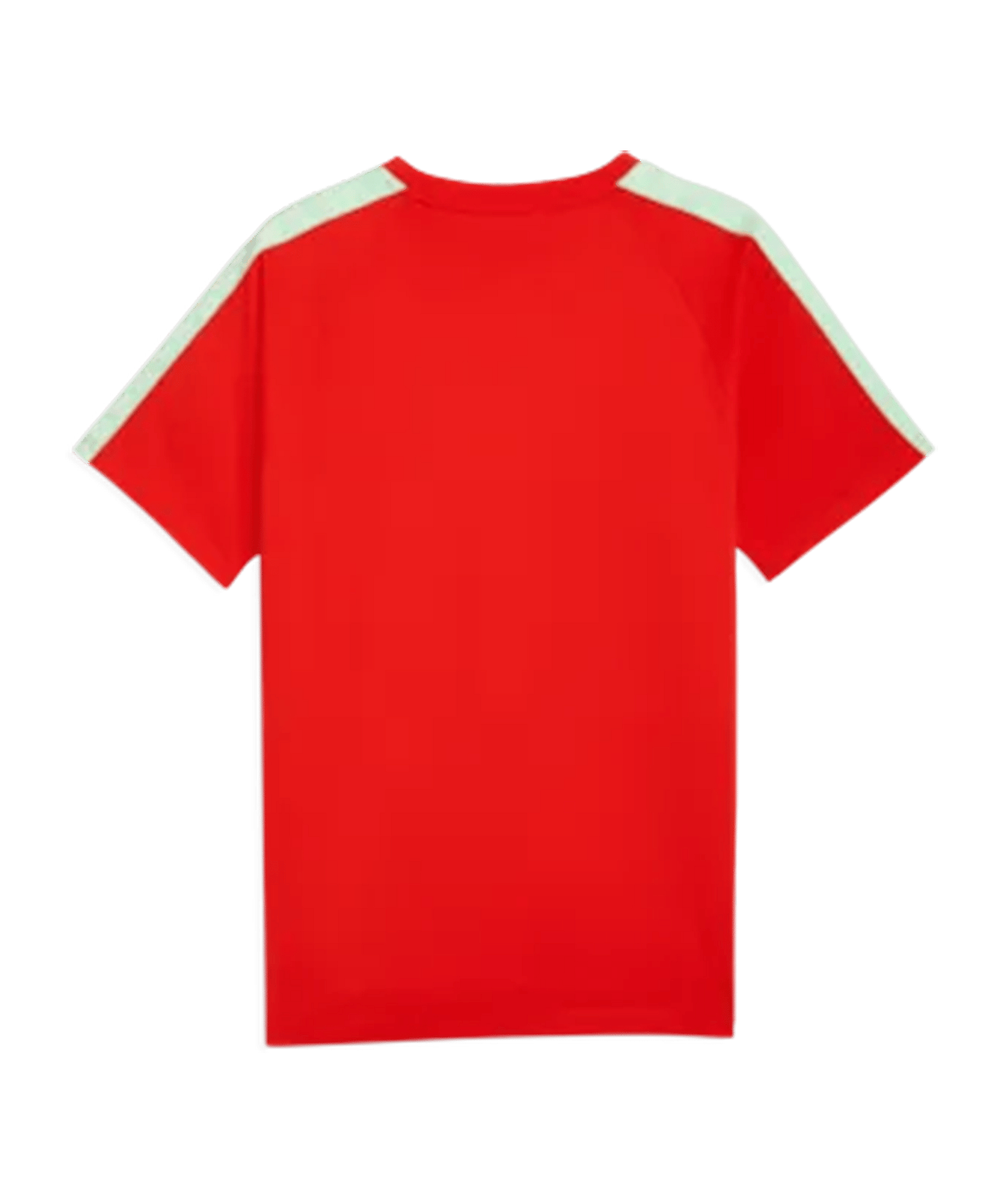 PUMA SFV Schweiz King T-Shirt Rot F05 - rot