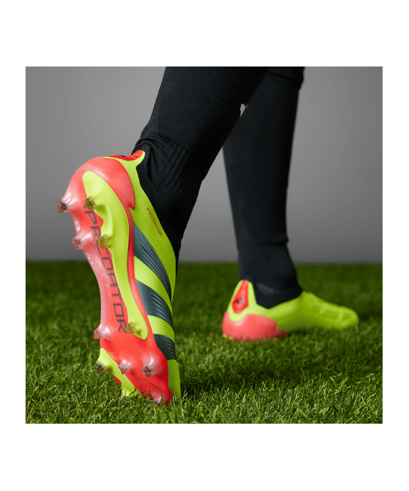 adidas Predator Elite LL FG Energy Citrus Gelb - gelb