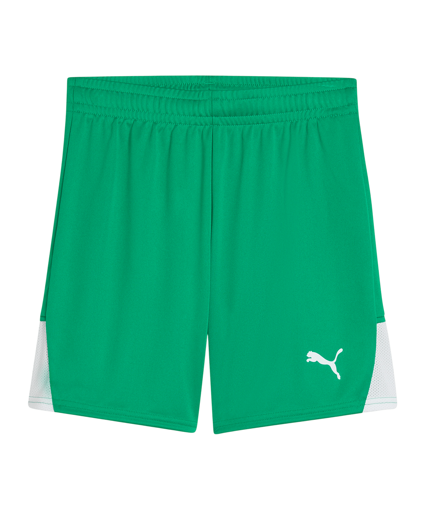 PUMA teamLIGA26 Short Kids Grün F05 - gruen