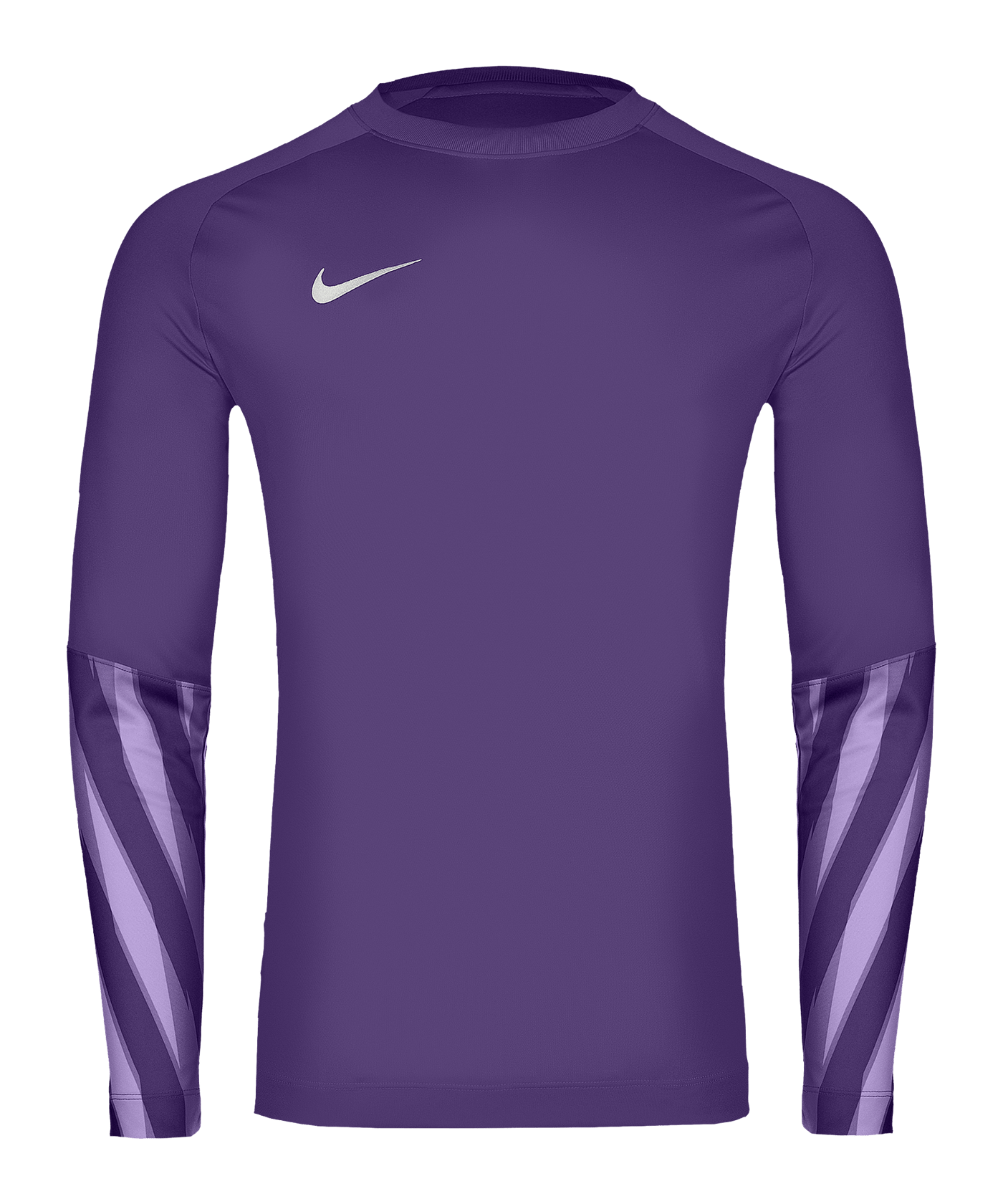 Nike Park V Trikot langarm Lila F507 - lila