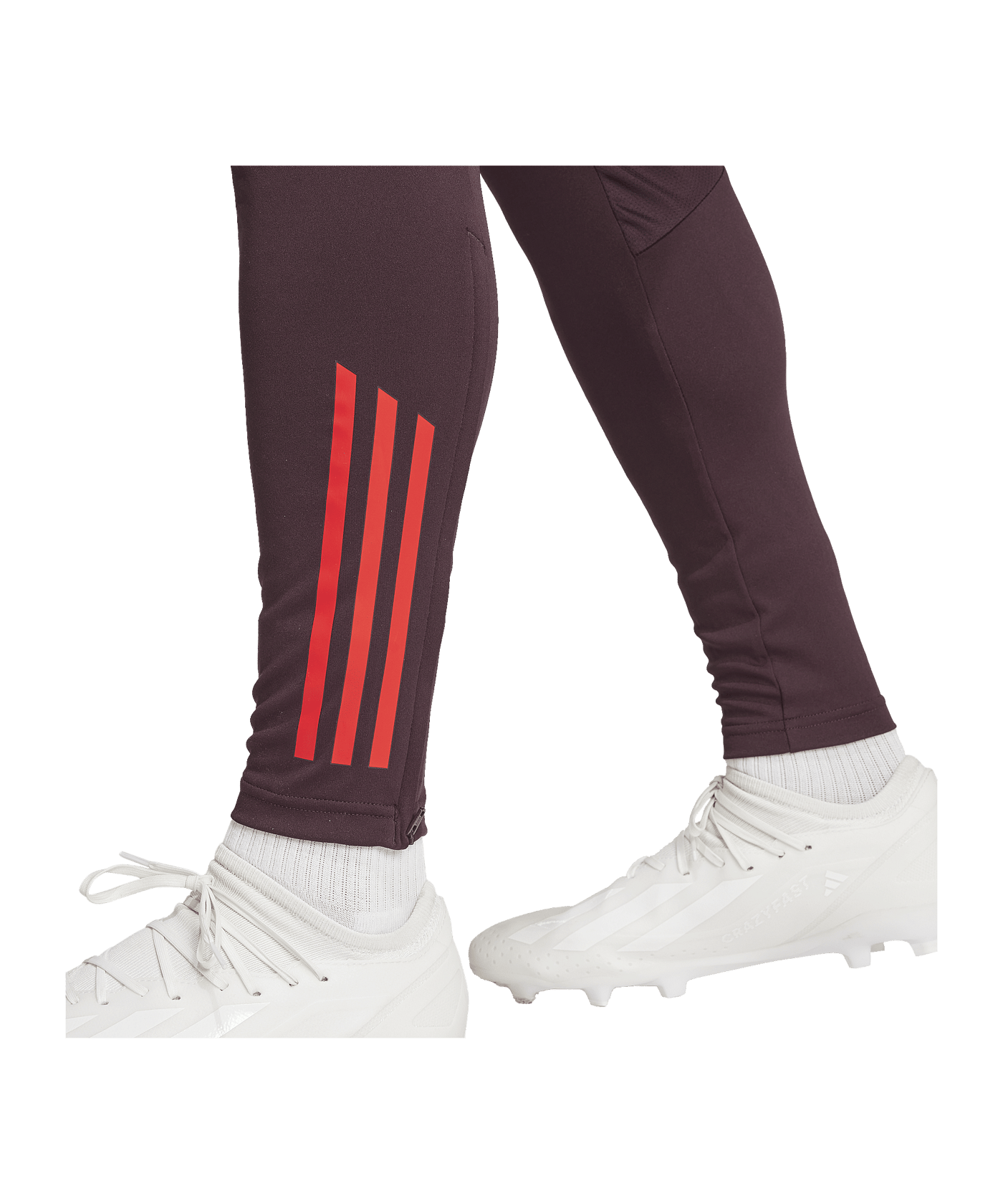 adidas FC Bayern München Trainingshose Rot - rot