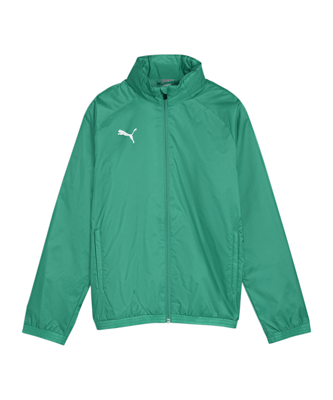 PUMA teamGOAL Allwetterjacke Kids Grün Weiss F05 - gruen