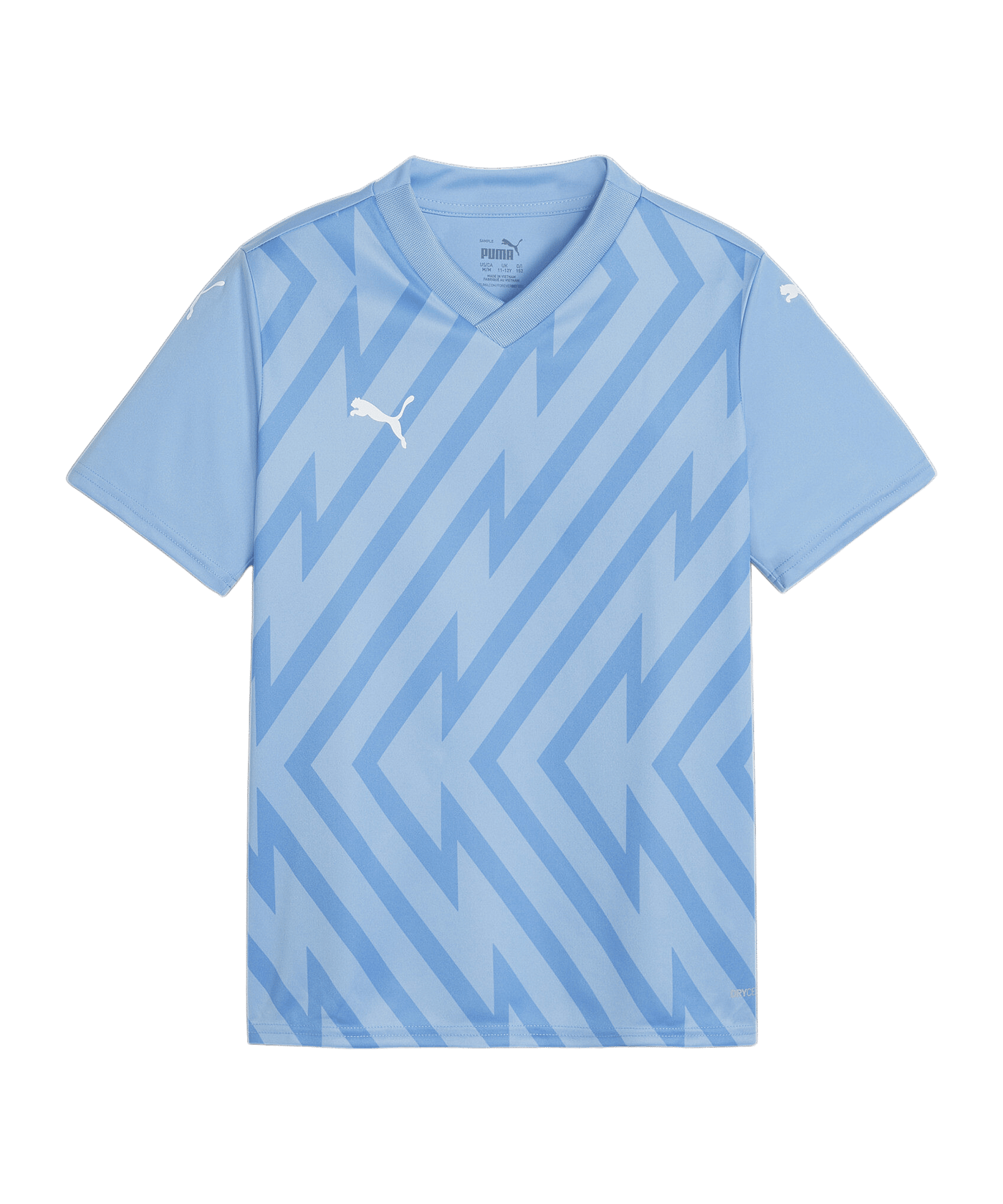 PUMA teamGLORY Trikot Kids Blau Weiss Blau F18 - blau