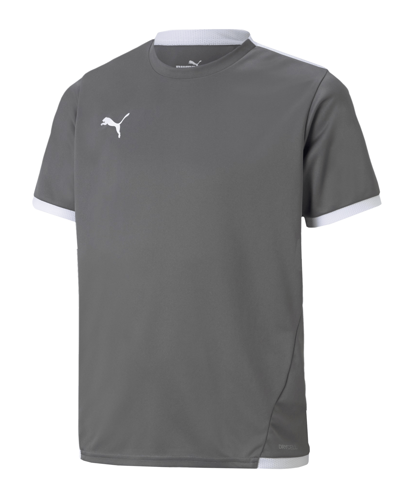 PUMA teamLIGA Trikot Kids Grau F13 - grau