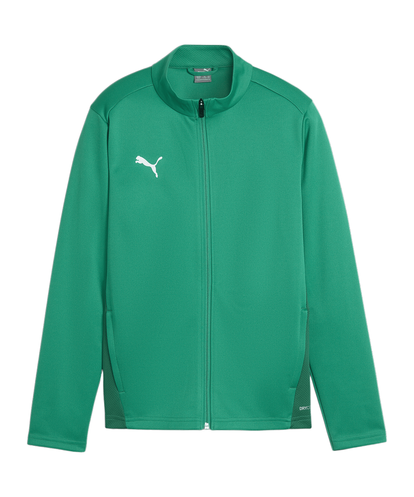 PUMA teamGOAL Trainingsjacke Kids Grün F05 - gruen