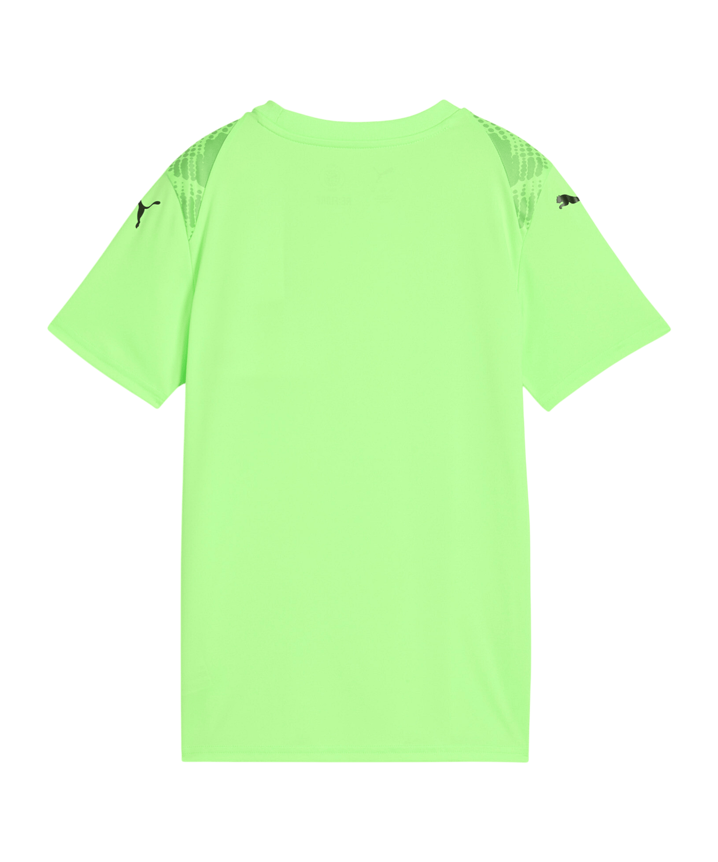 PUMA teamULTIMATE Trikot Kids Grün F20 - gruen