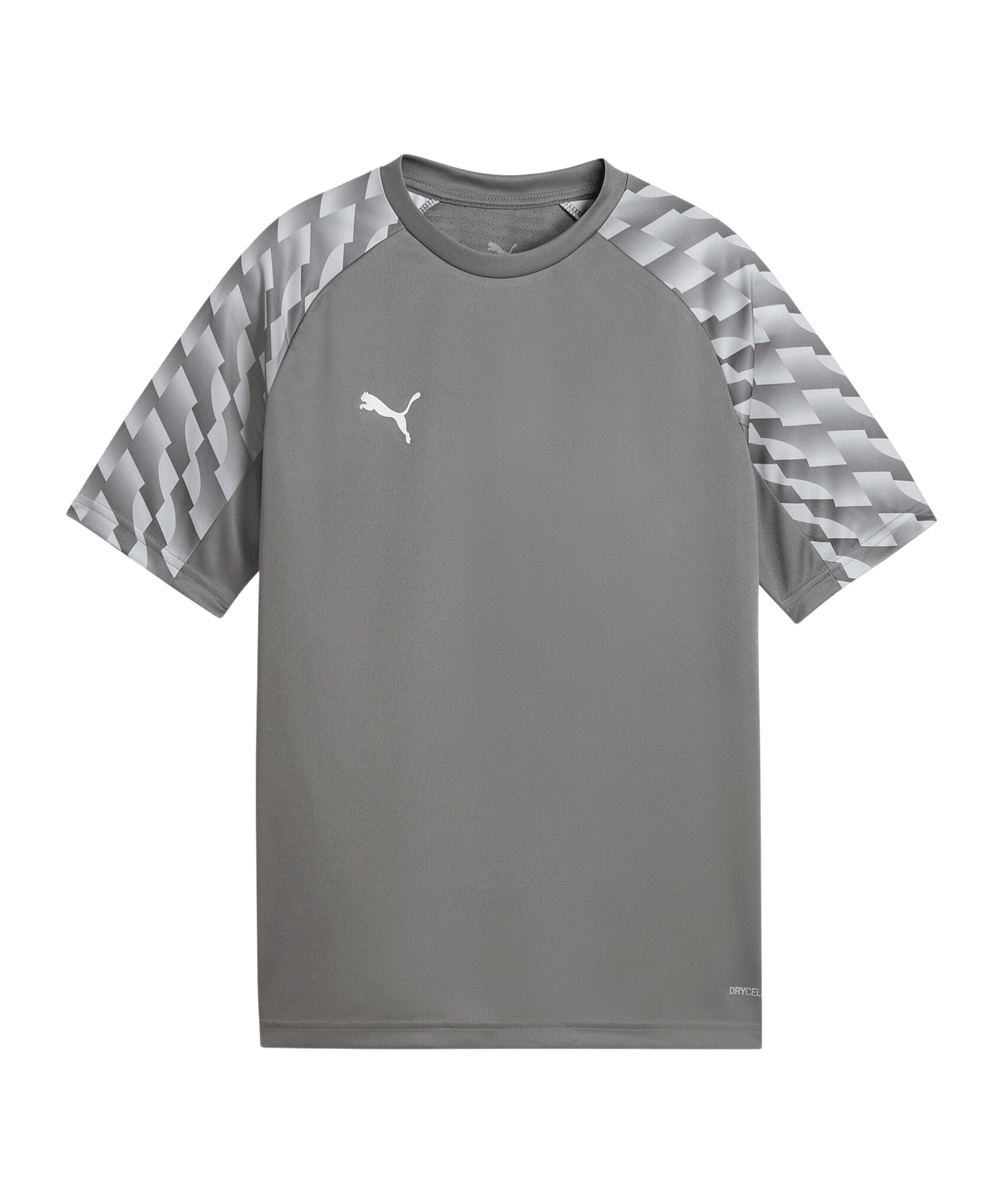 PUMA teamLIGA26 Trikot Kids Grau F13 - grau