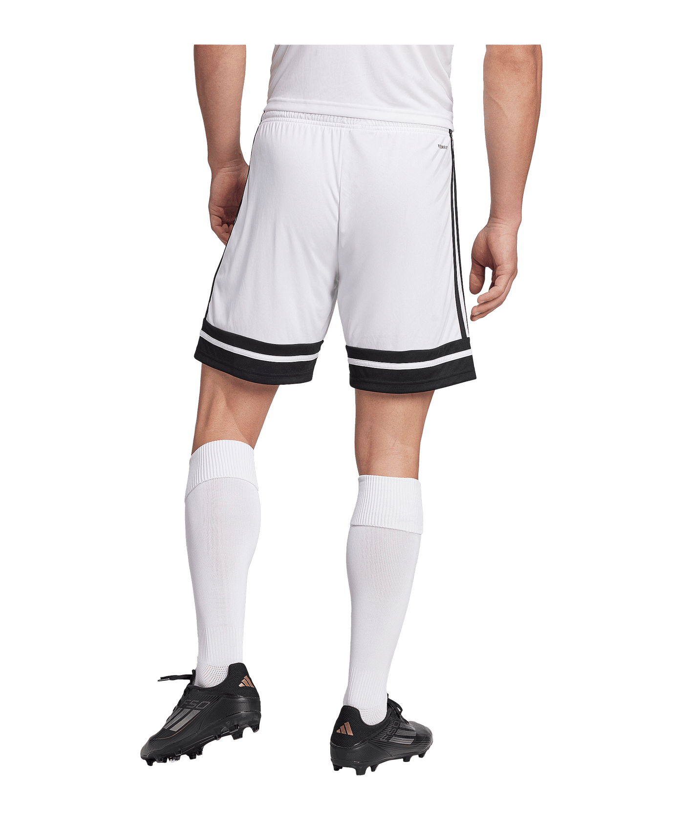 adidas Squadra 25 Short Weiss - weiss