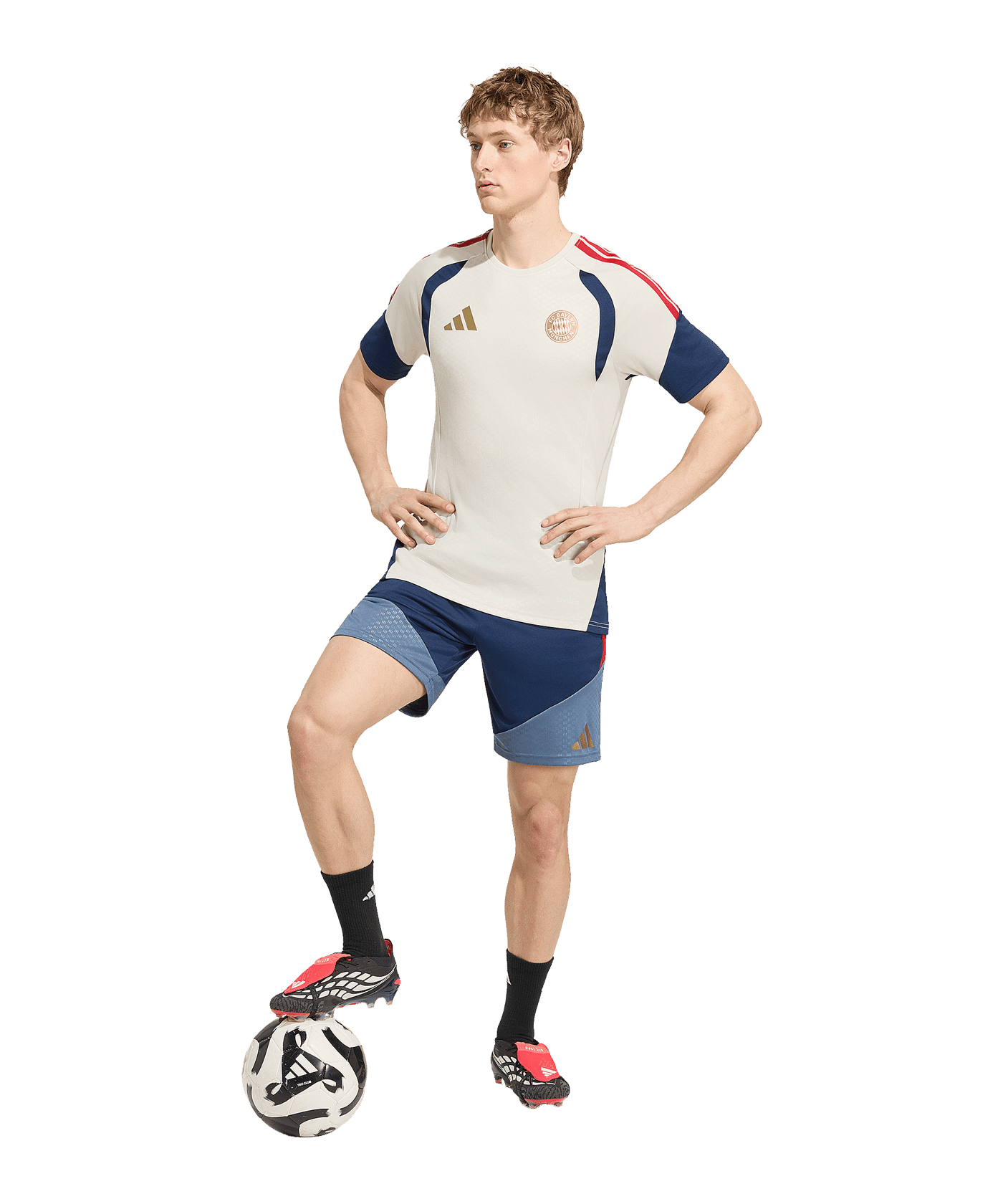 adidas FC Bayern München Short 2026/2027 Blau - blau