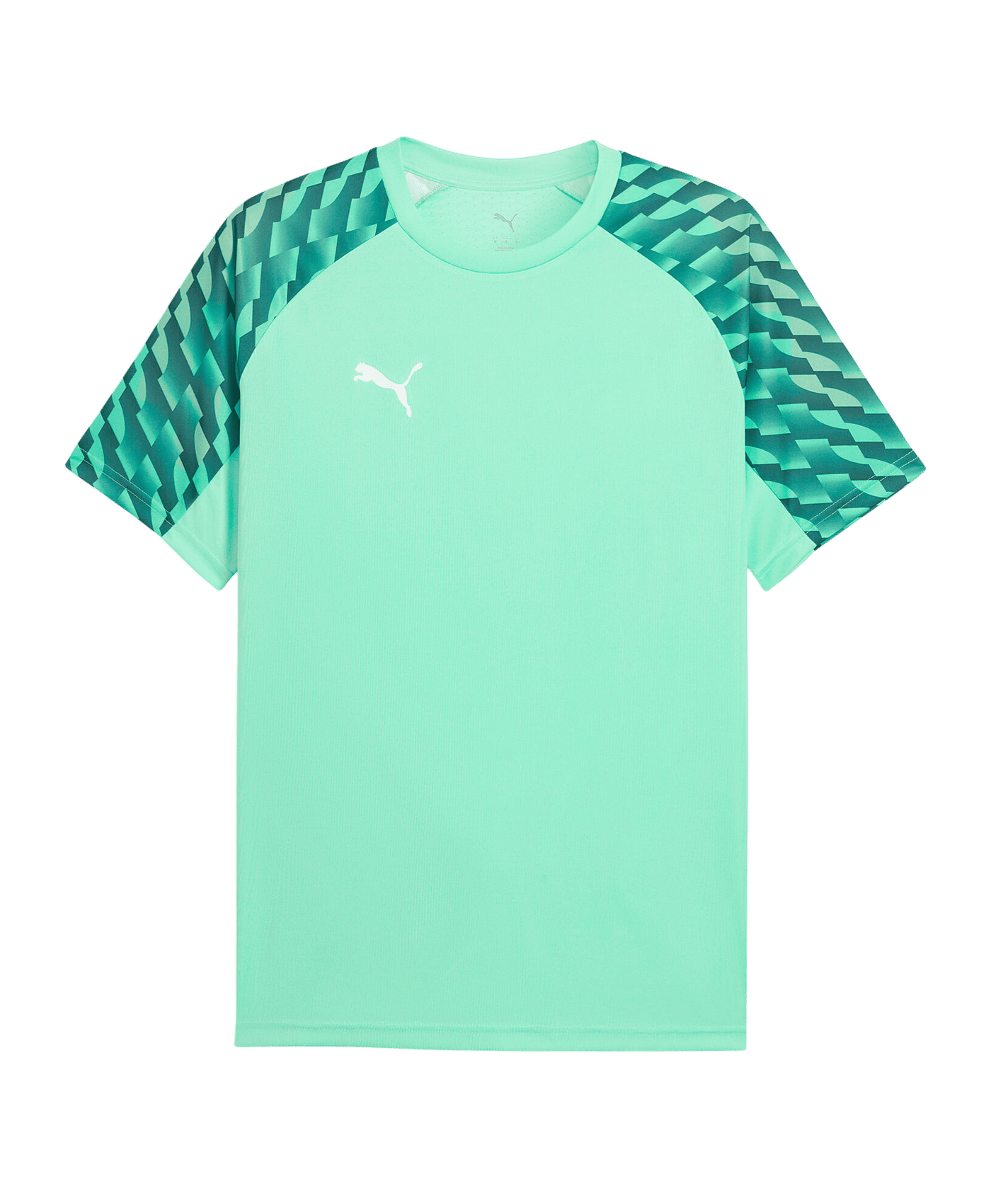 PUMA teamLIGA26 Trikot Grün F80 - gruen