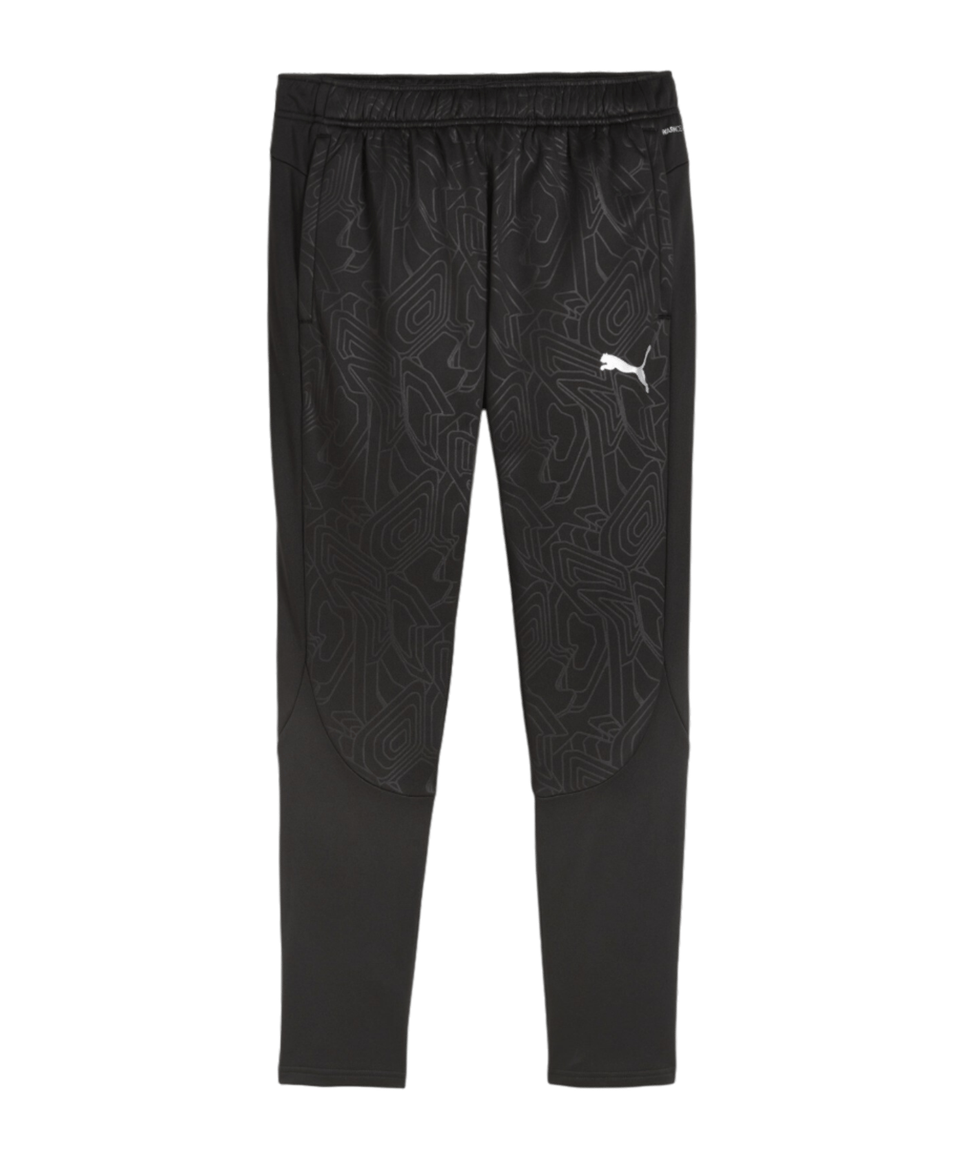 PUMA teamFINAL Trainingshose Schwarz F03 - schwarz