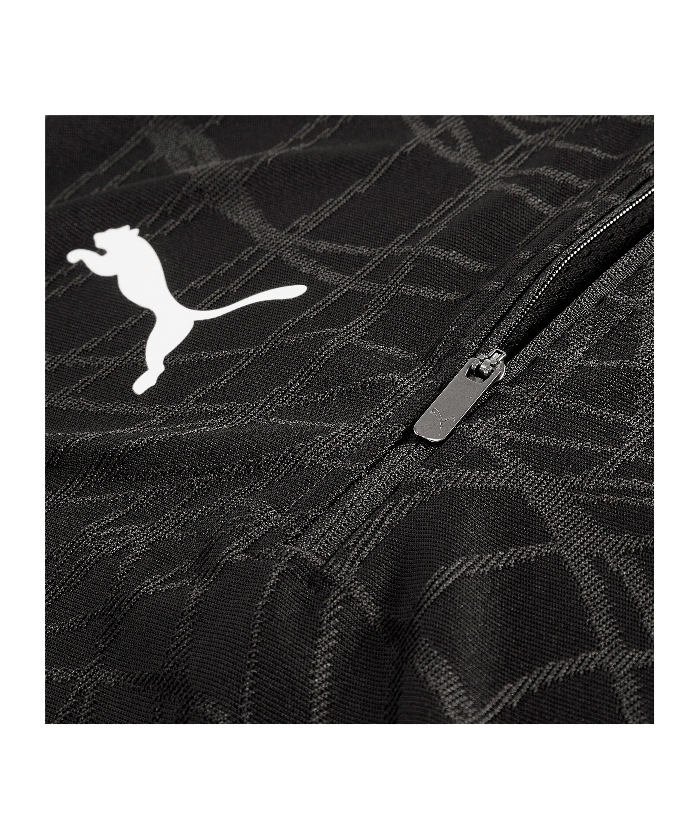 PUMA teamFINAL26 Training 1/4 Zip Top Schwarz F03 - schwarz