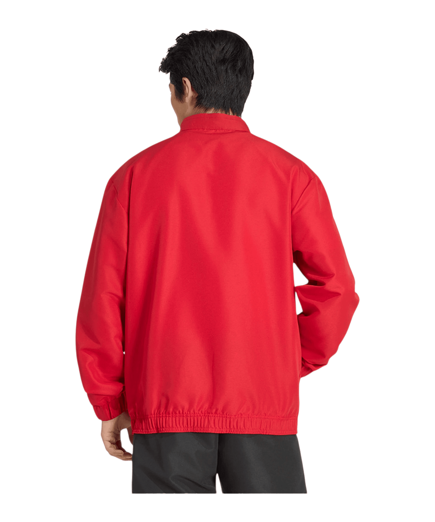 adidas Entrada 26 Präsentationsjacke Rot - rot