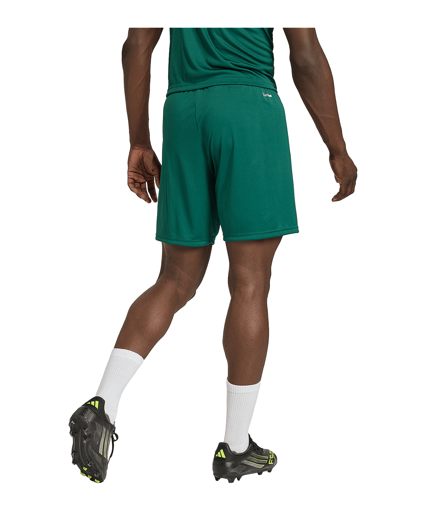 adidas Entrada 26 Short Grün - gruen