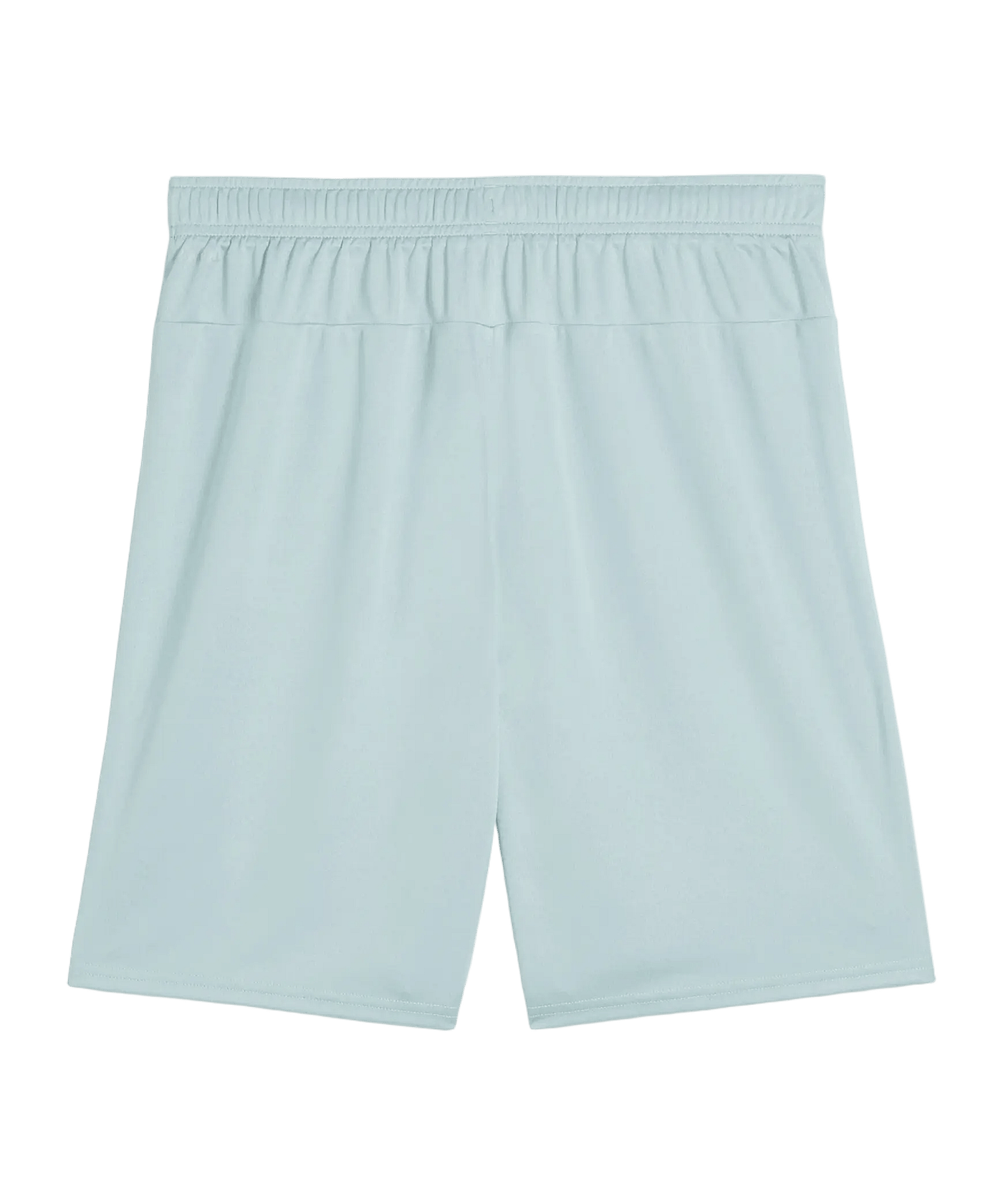 PUMA TeamGOAL Short Grün F41 - gruen