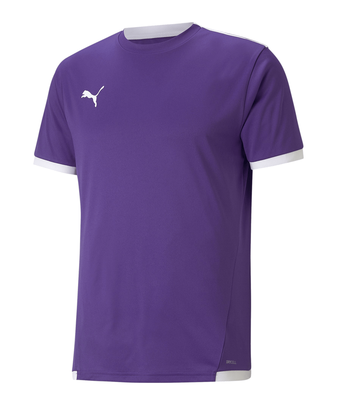 PUMA teamLIGA Trikot Lila F10 - lila