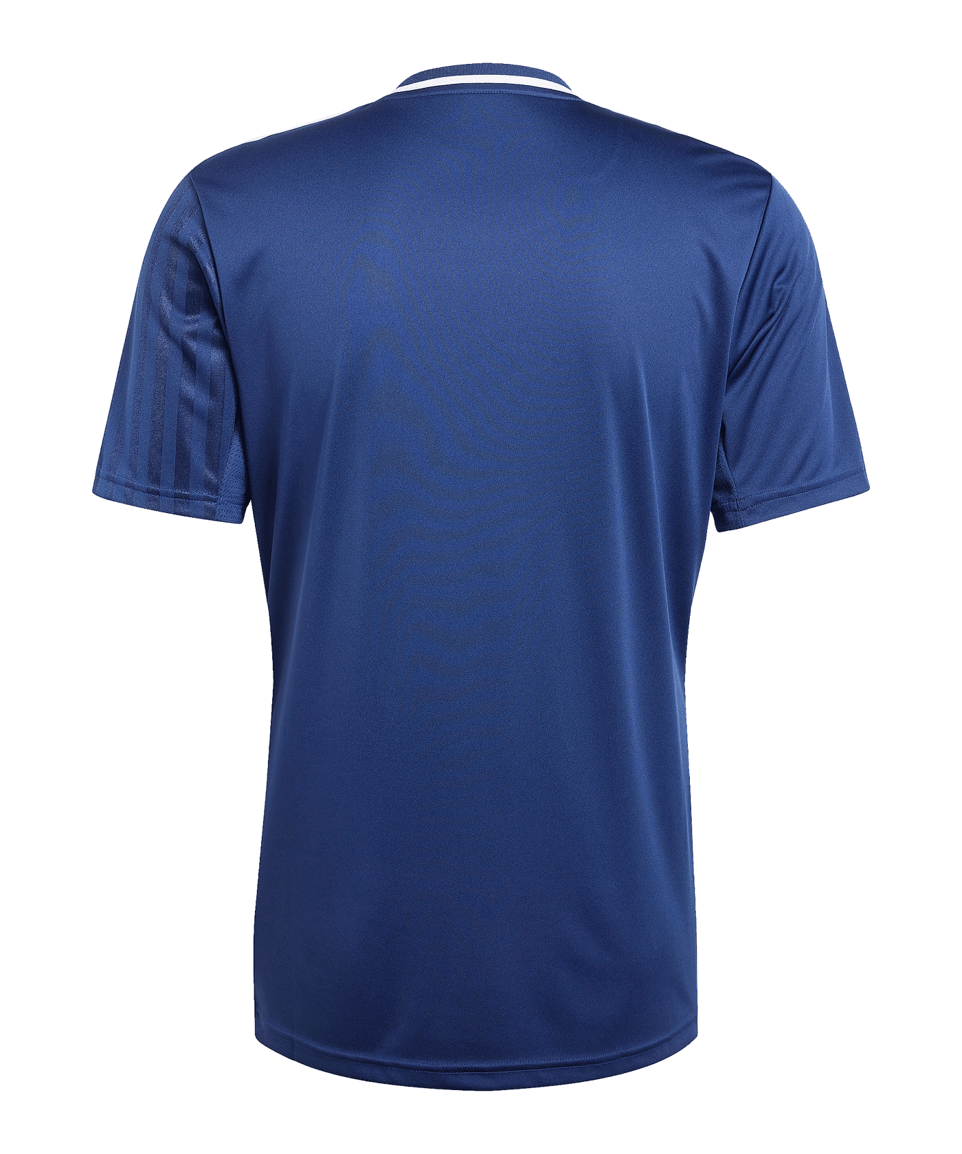 adidas Campeon 25 Trikot Blau - blau