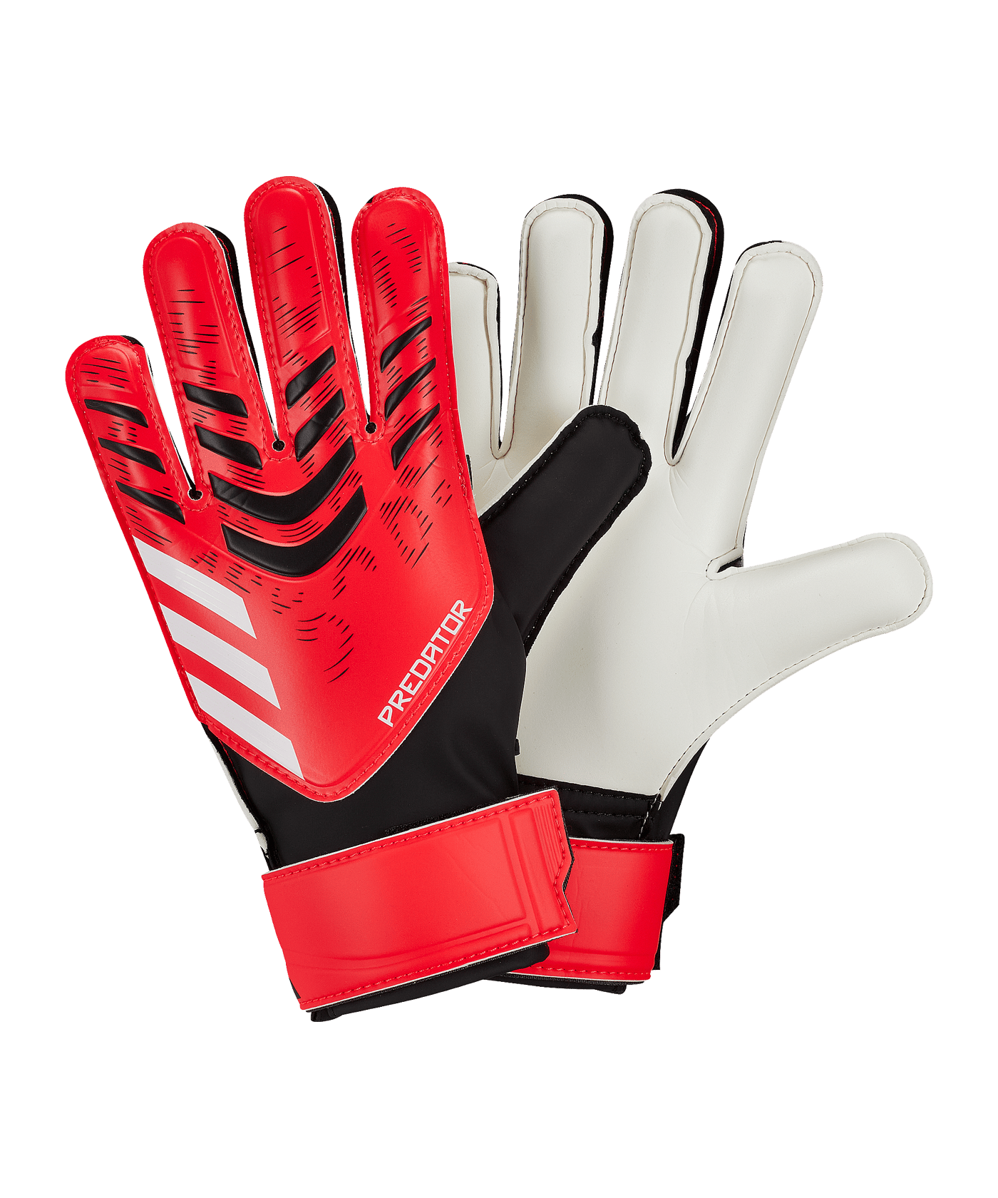 adidas Predator Pure Vicotry Training Schwarz - schwarz