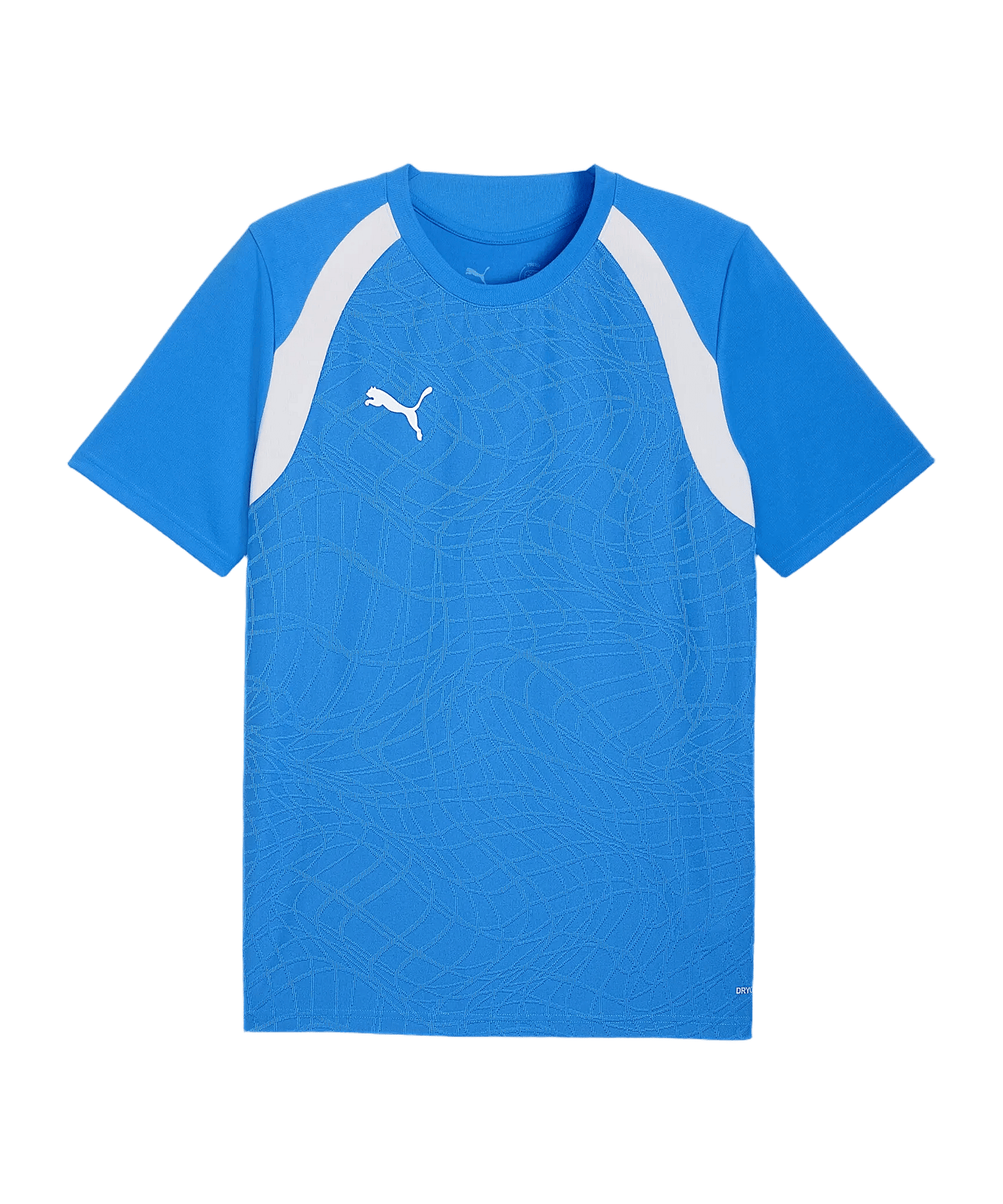 PUMA teamFINAL26 Training Trikot Blau F02 - blau