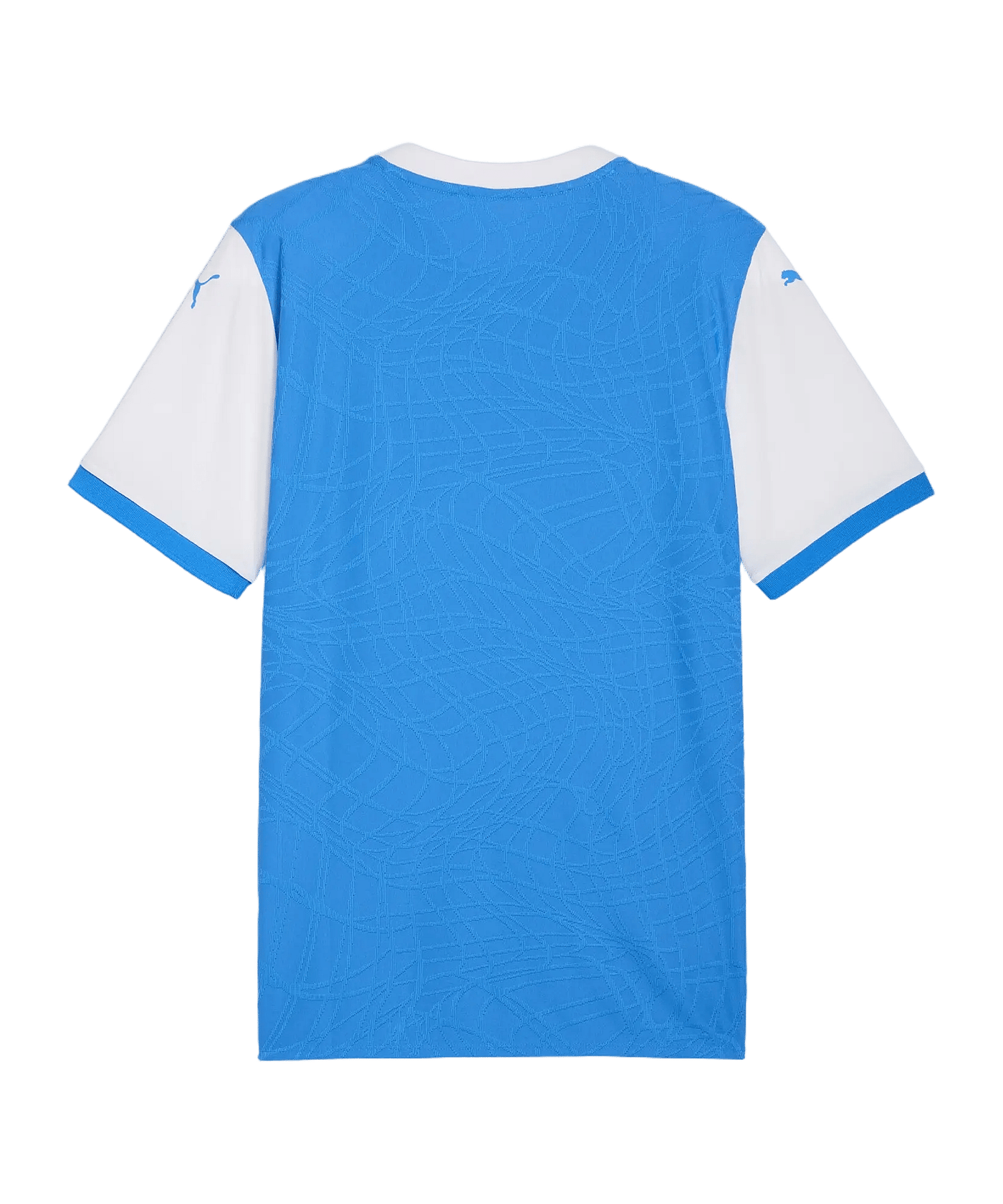 PUMA teamFINAL26 Knit Trikot Blau F02 - blau