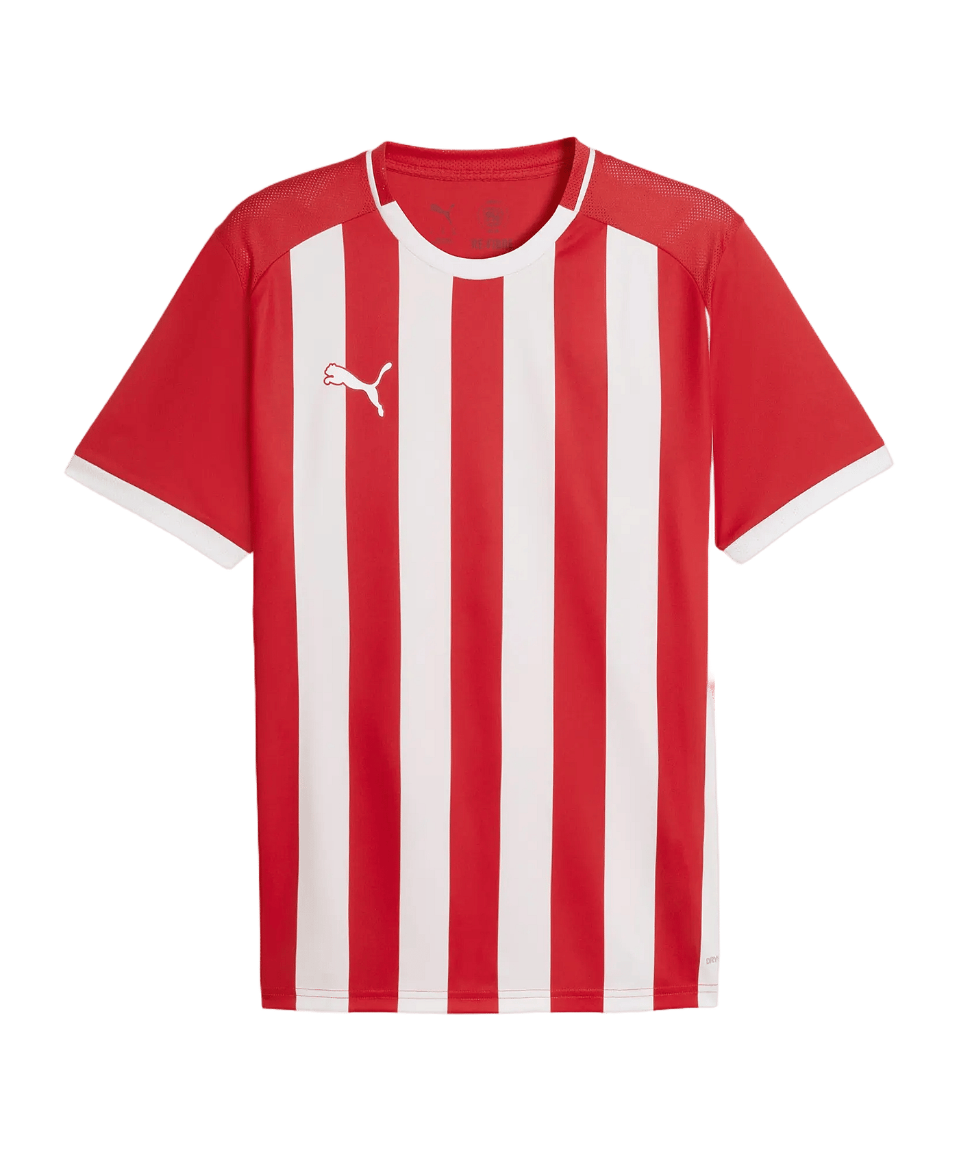 PUMA teamLIGA26 Striped Trikot Rot F01 - rot