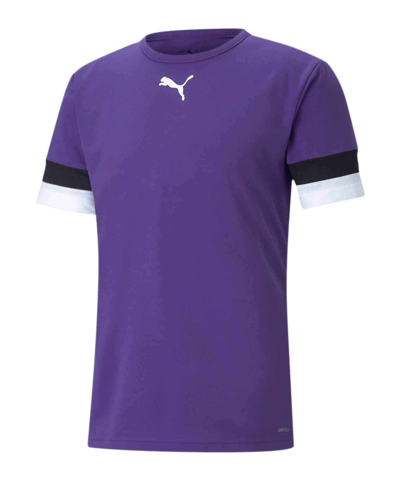 PUMA teamRISE Trikot Lila F10 - lila
