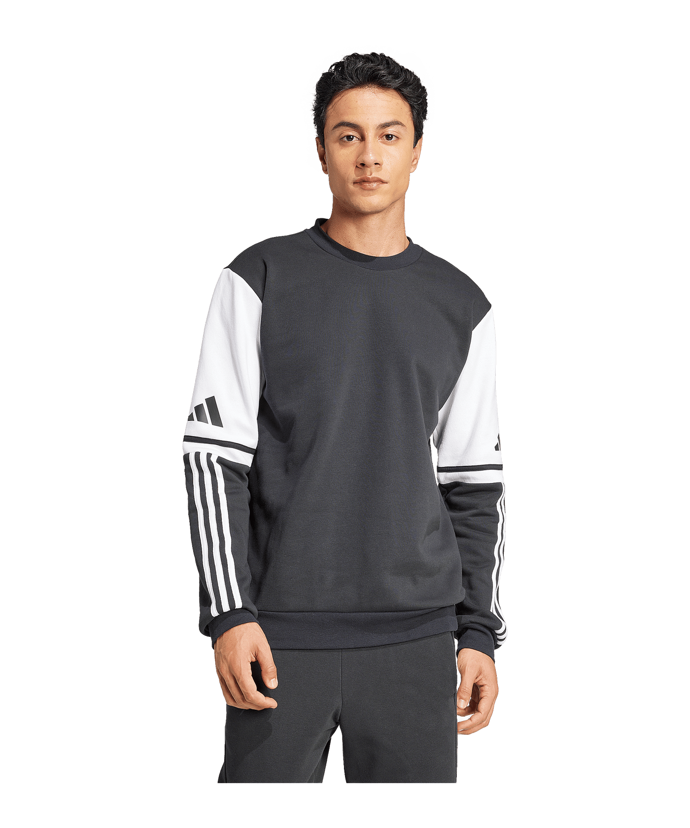 adidas Squadra 25 Sweatshirt Schwarz - schwarz